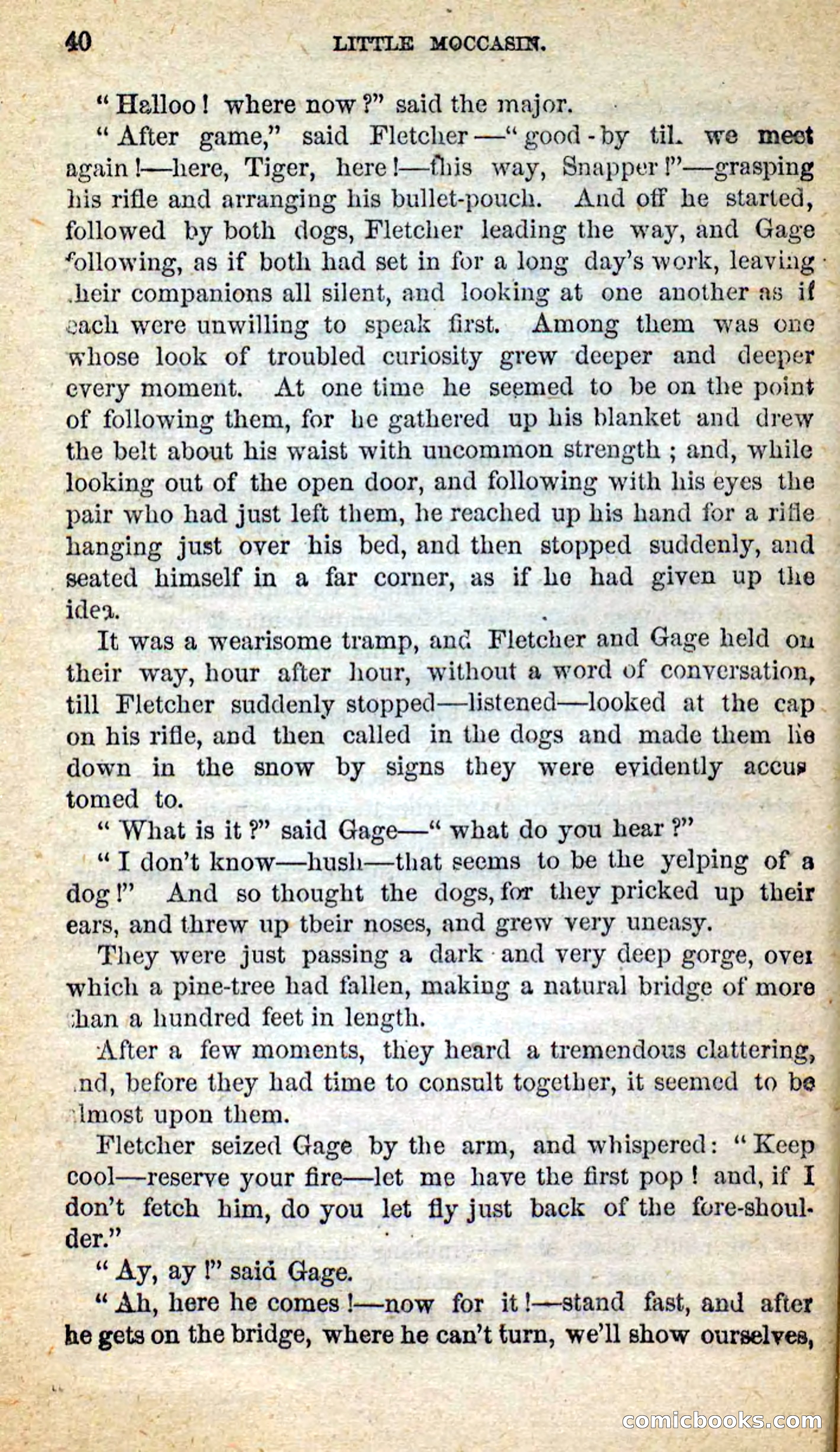 Beadle's New Dime Novels: Little Moccasin — page 36 of 101