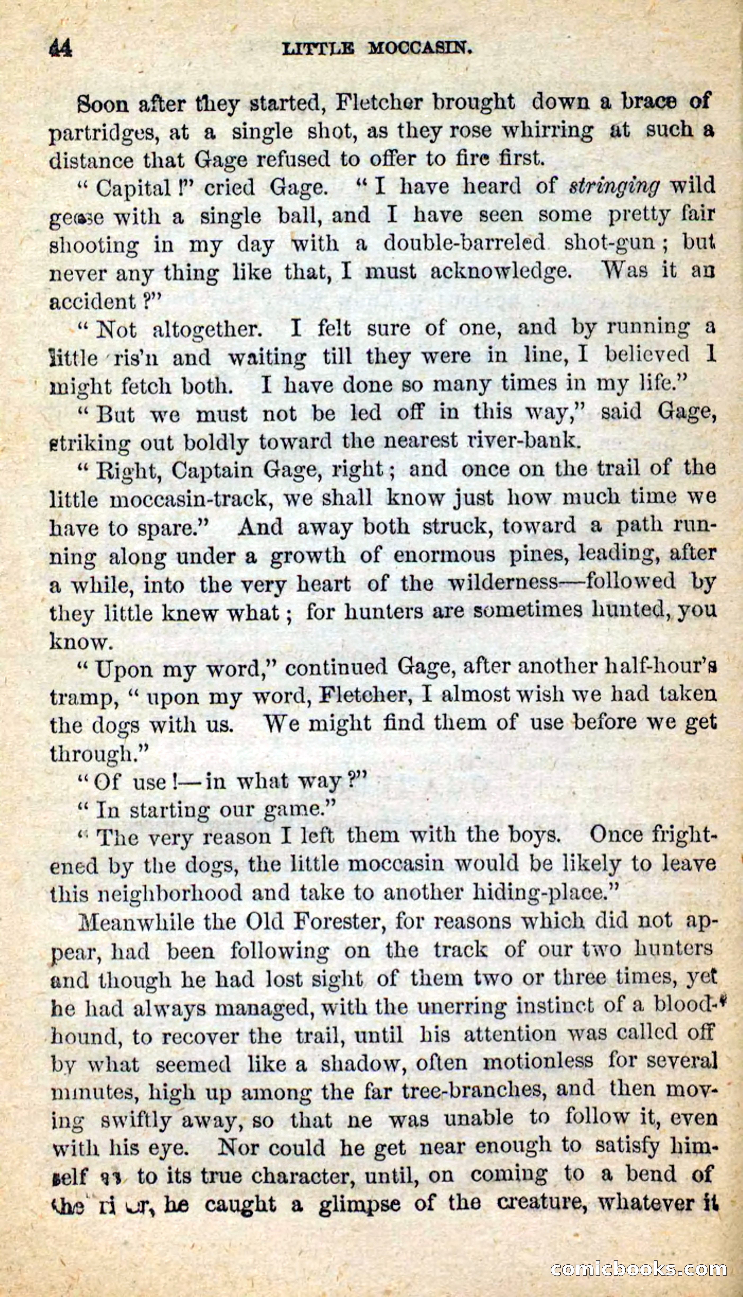 Beadle's New Dime Novels: Little Moccasin — page 40 of 101