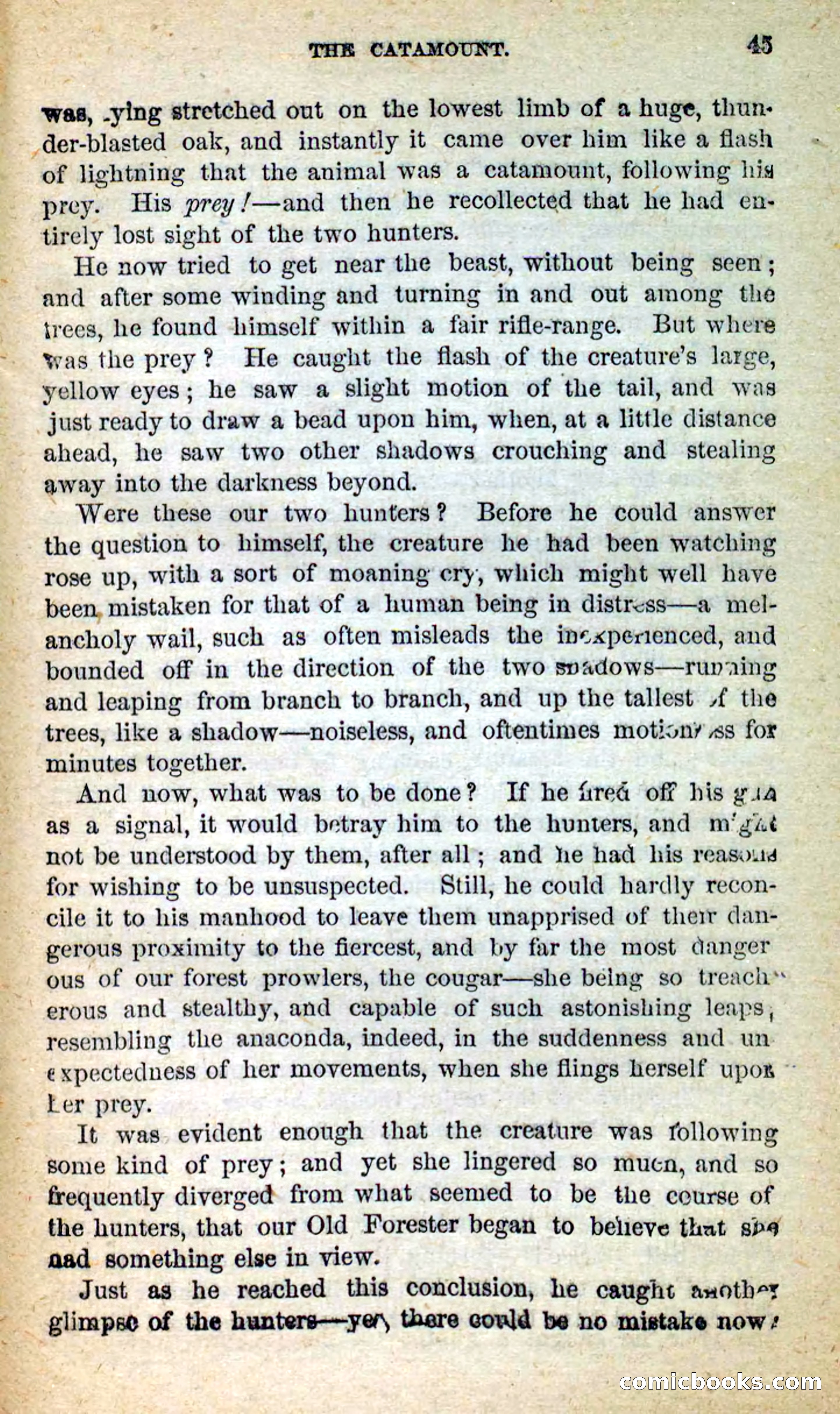 Beadle's New Dime Novels: Little Moccasin — page 41 of 101