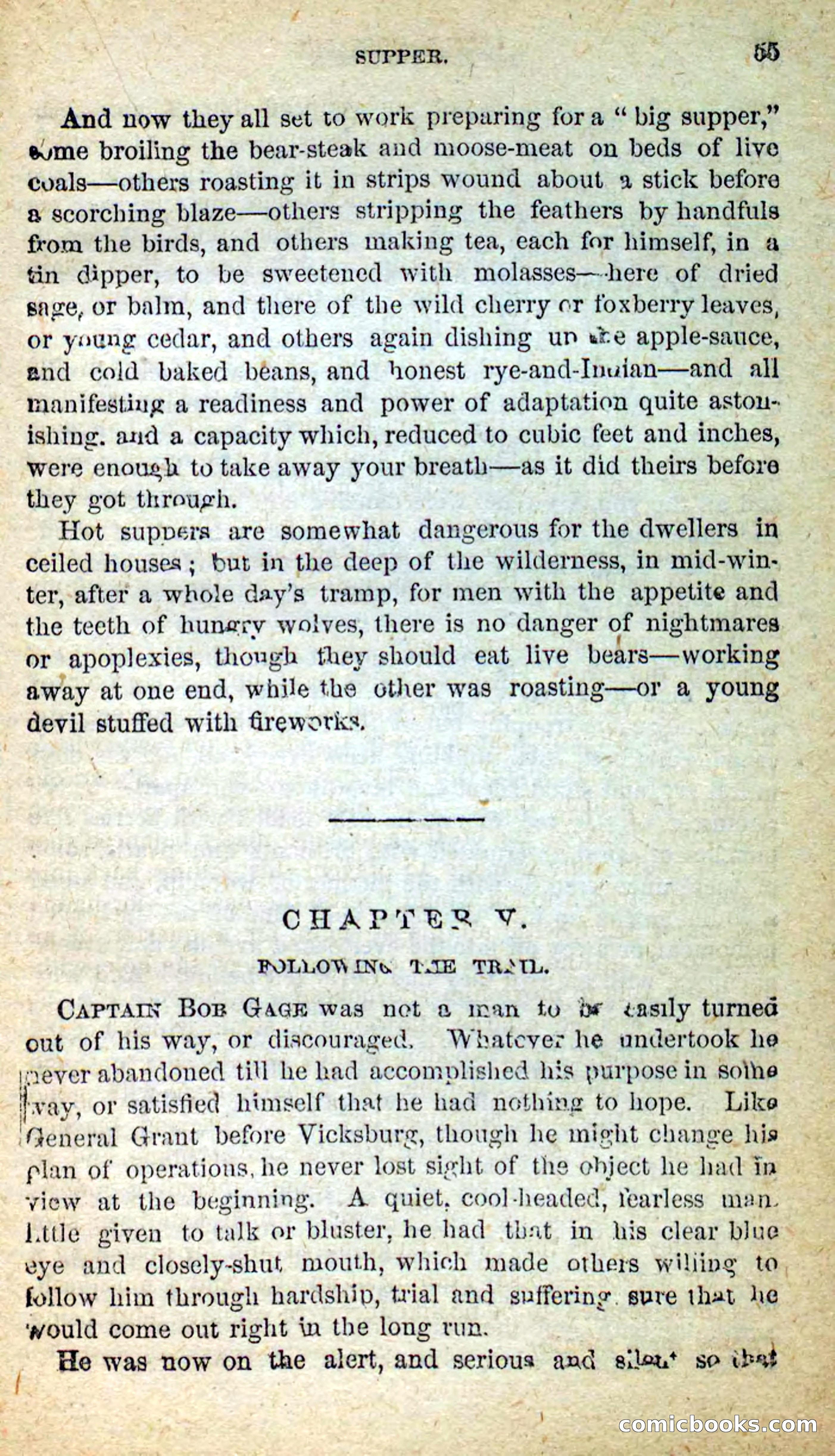 Beadle's New Dime Novels: Little Moccasin — page 51 of 101