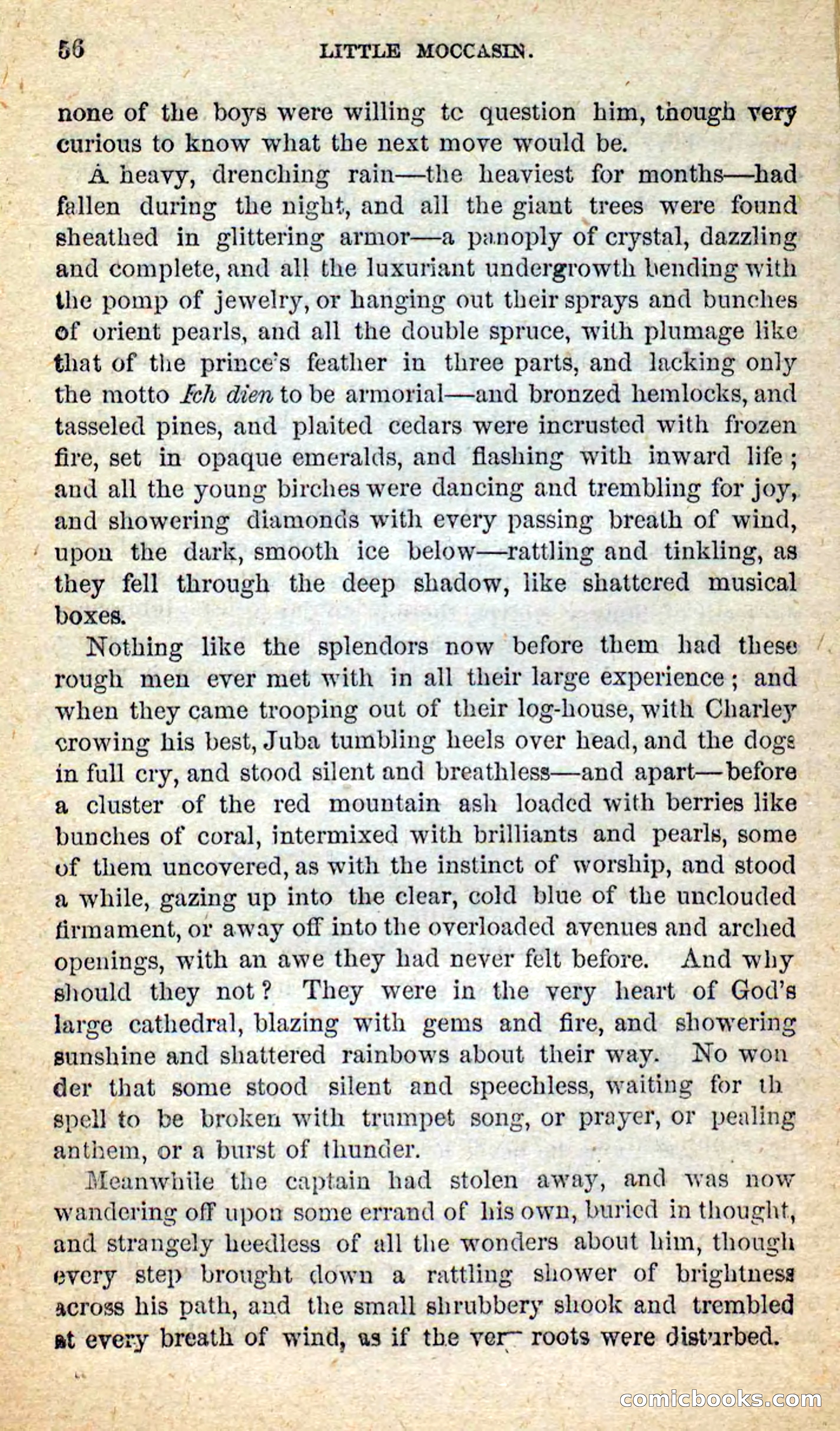 Beadle's New Dime Novels: Little Moccasin — page 52 of 101