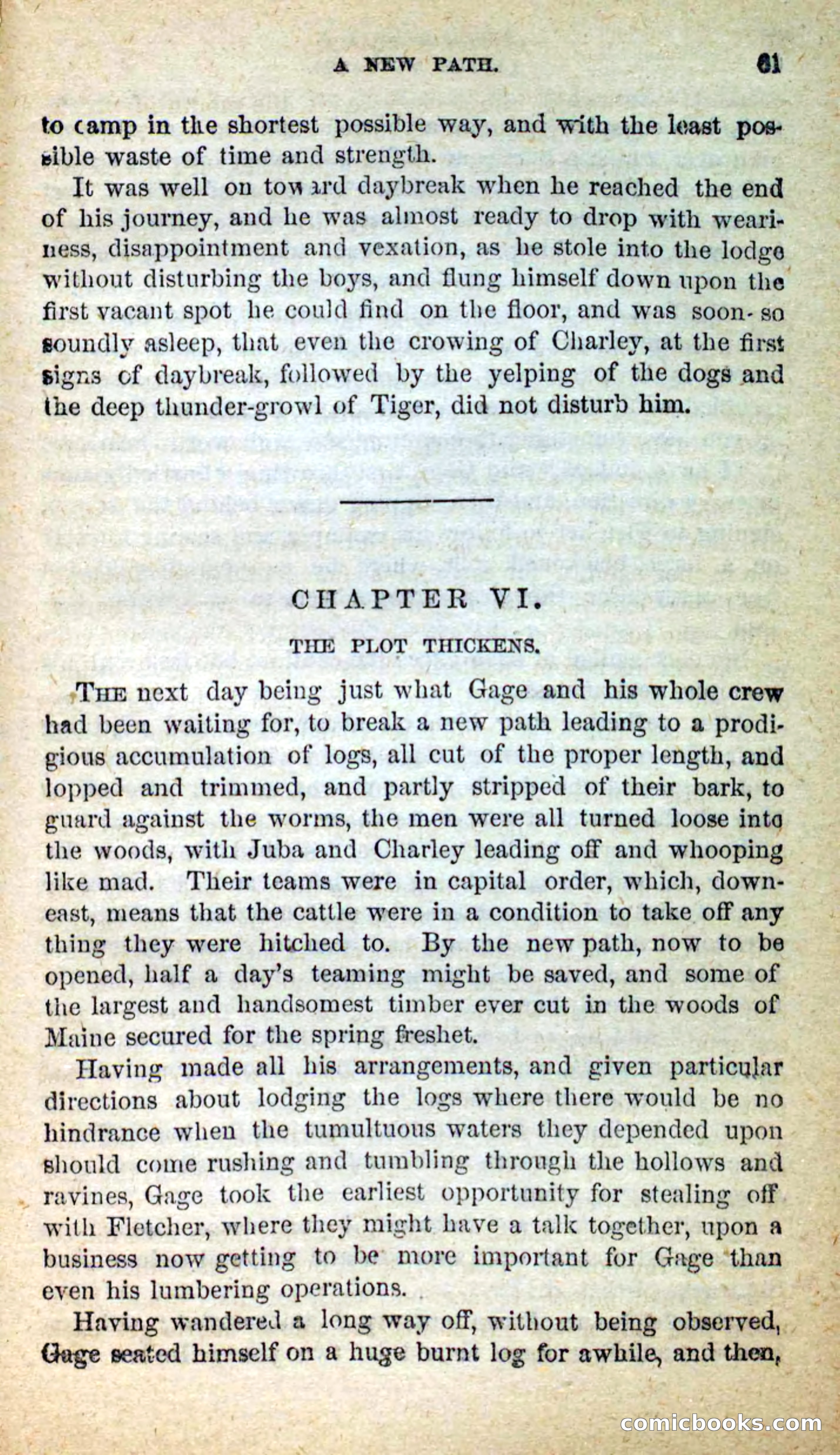 Beadle's New Dime Novels: Little Moccasin — page 57 of 101