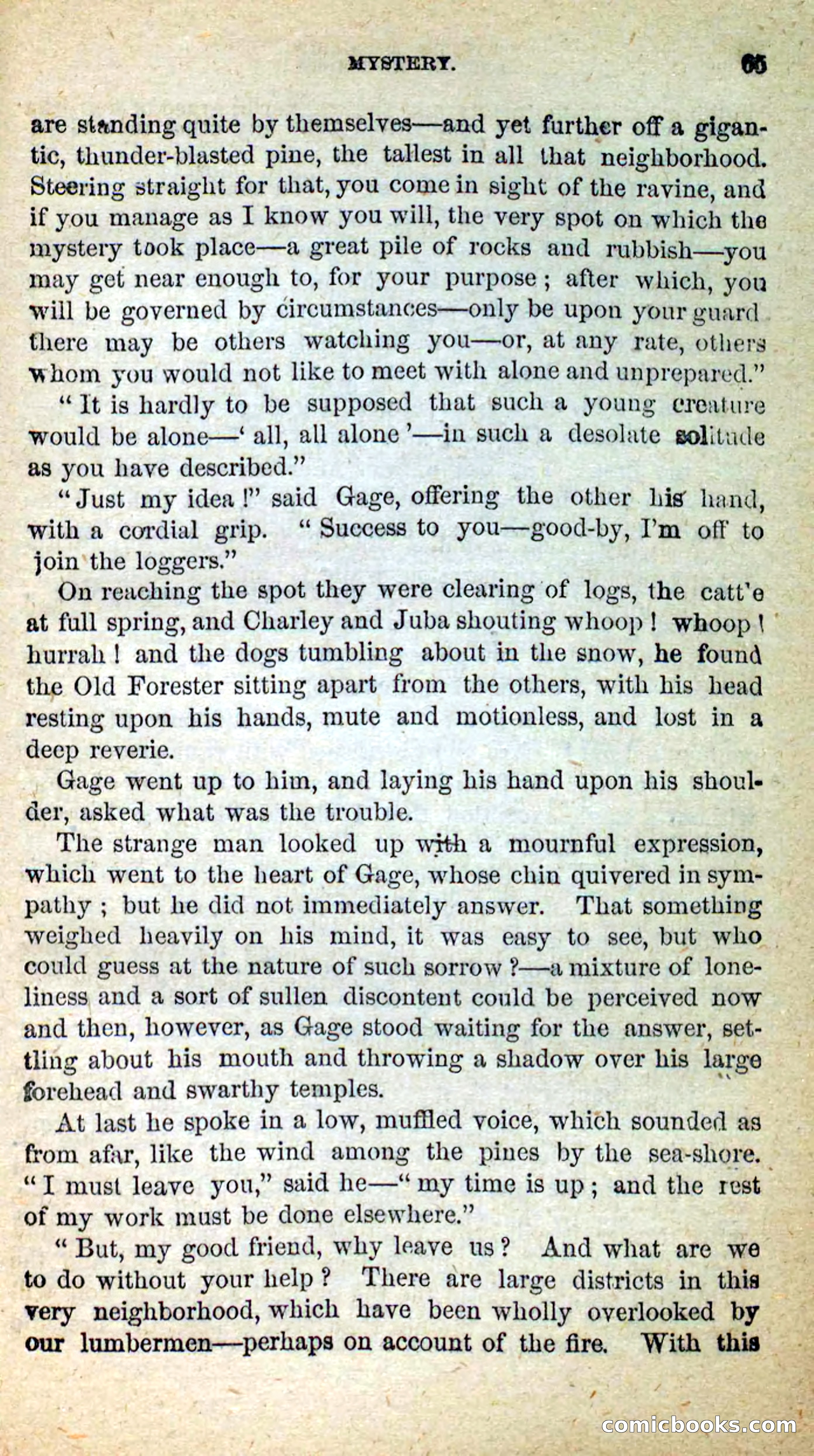 Beadle's New Dime Novels: Little Moccasin — page 61 of 101