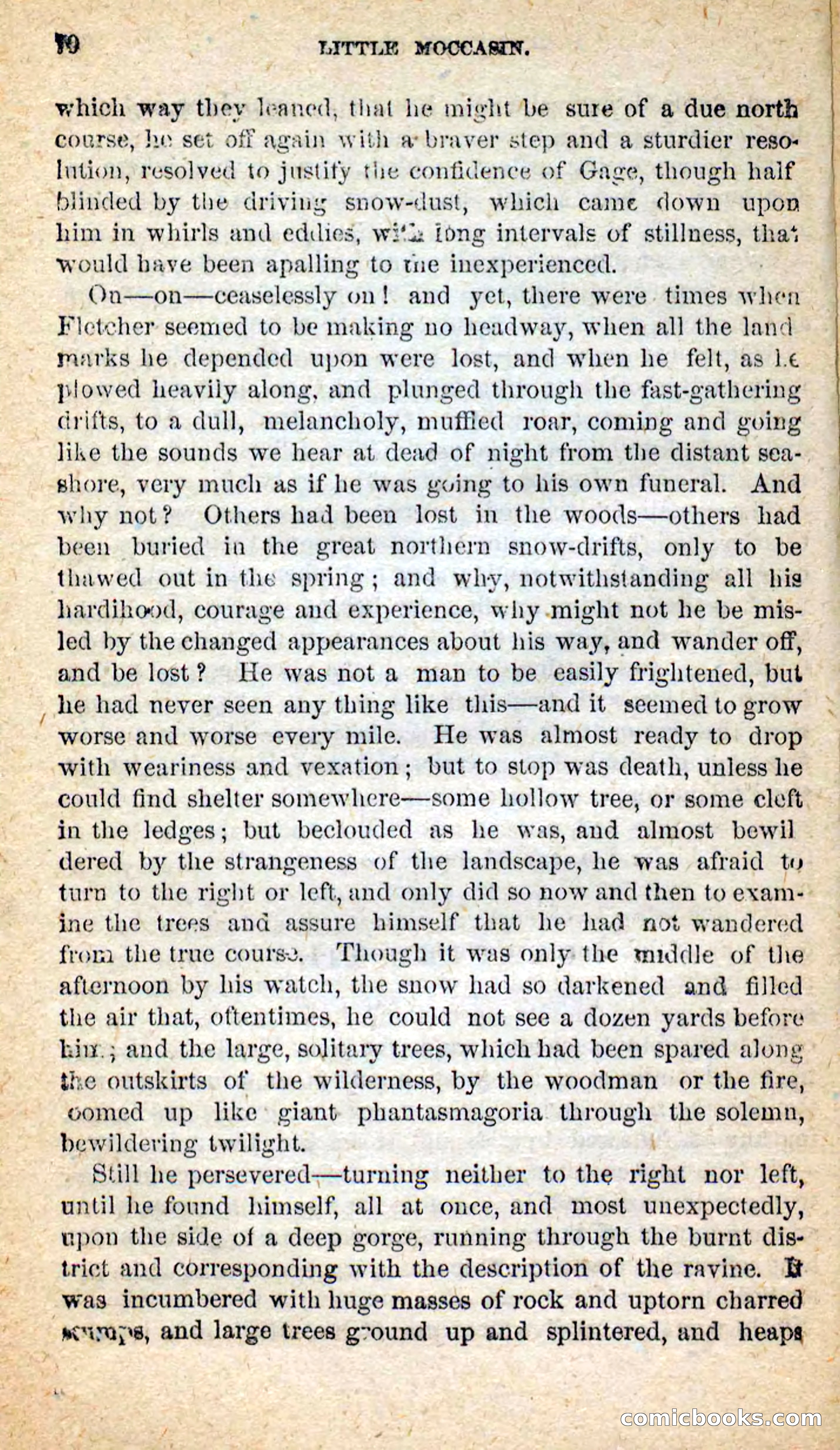 Beadle's New Dime Novels: Little Moccasin — page 66 of 101