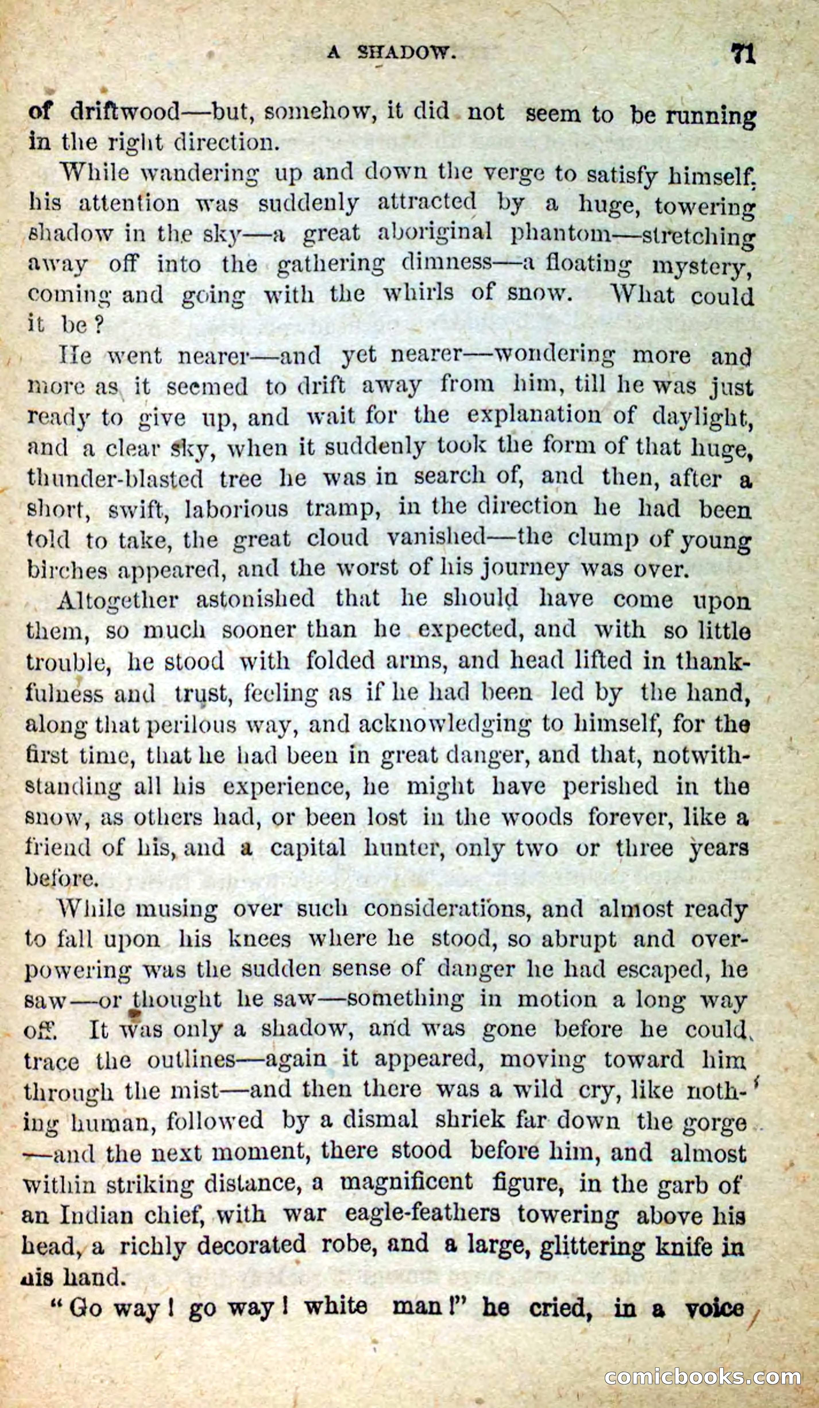 Beadle's New Dime Novels: Little Moccasin — page 67 of 101