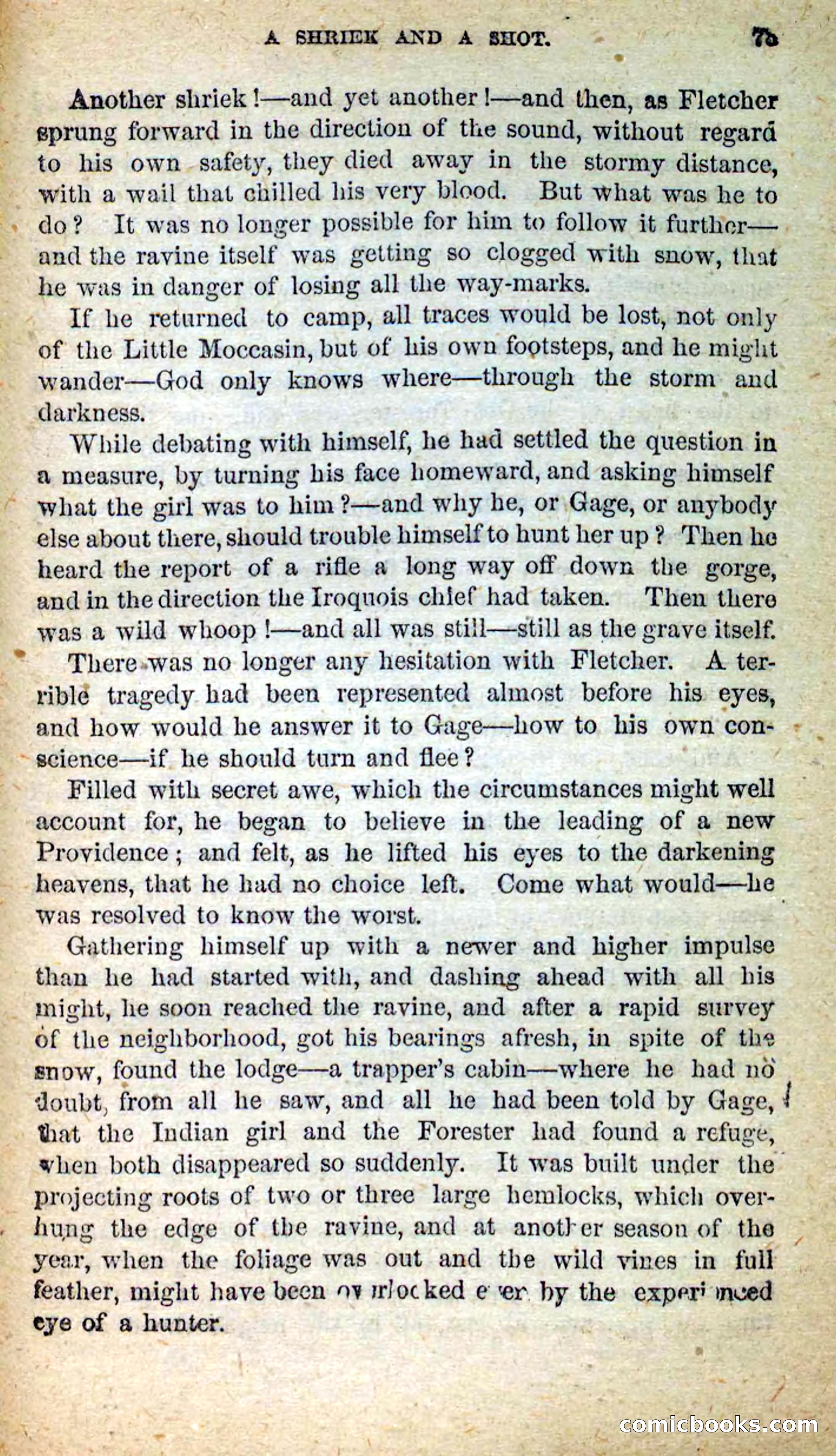 Beadle's New Dime Novels: Little Moccasin — page 69 of 101