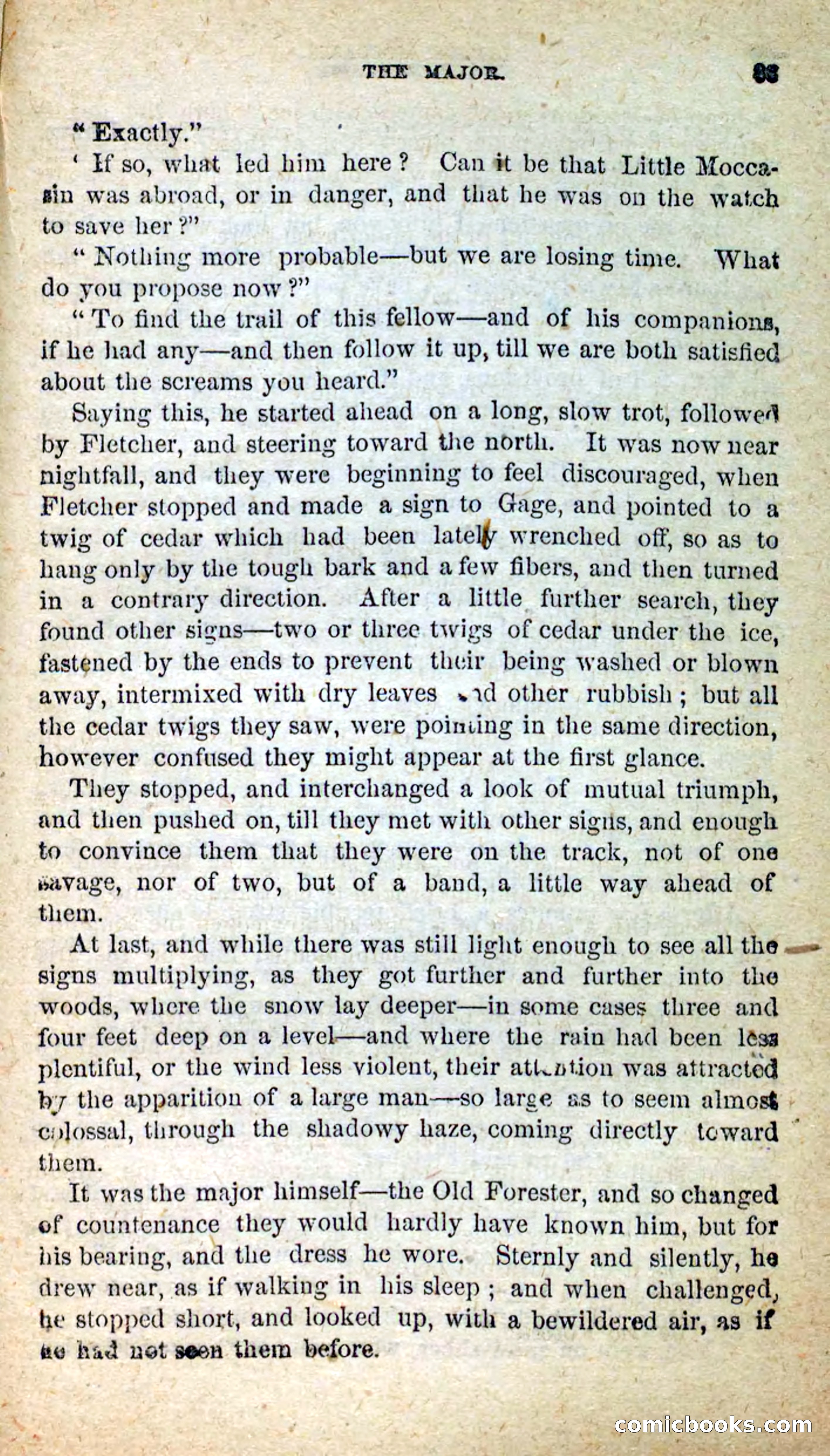 Beadle's New Dime Novels: Little Moccasin — page 79 of 101