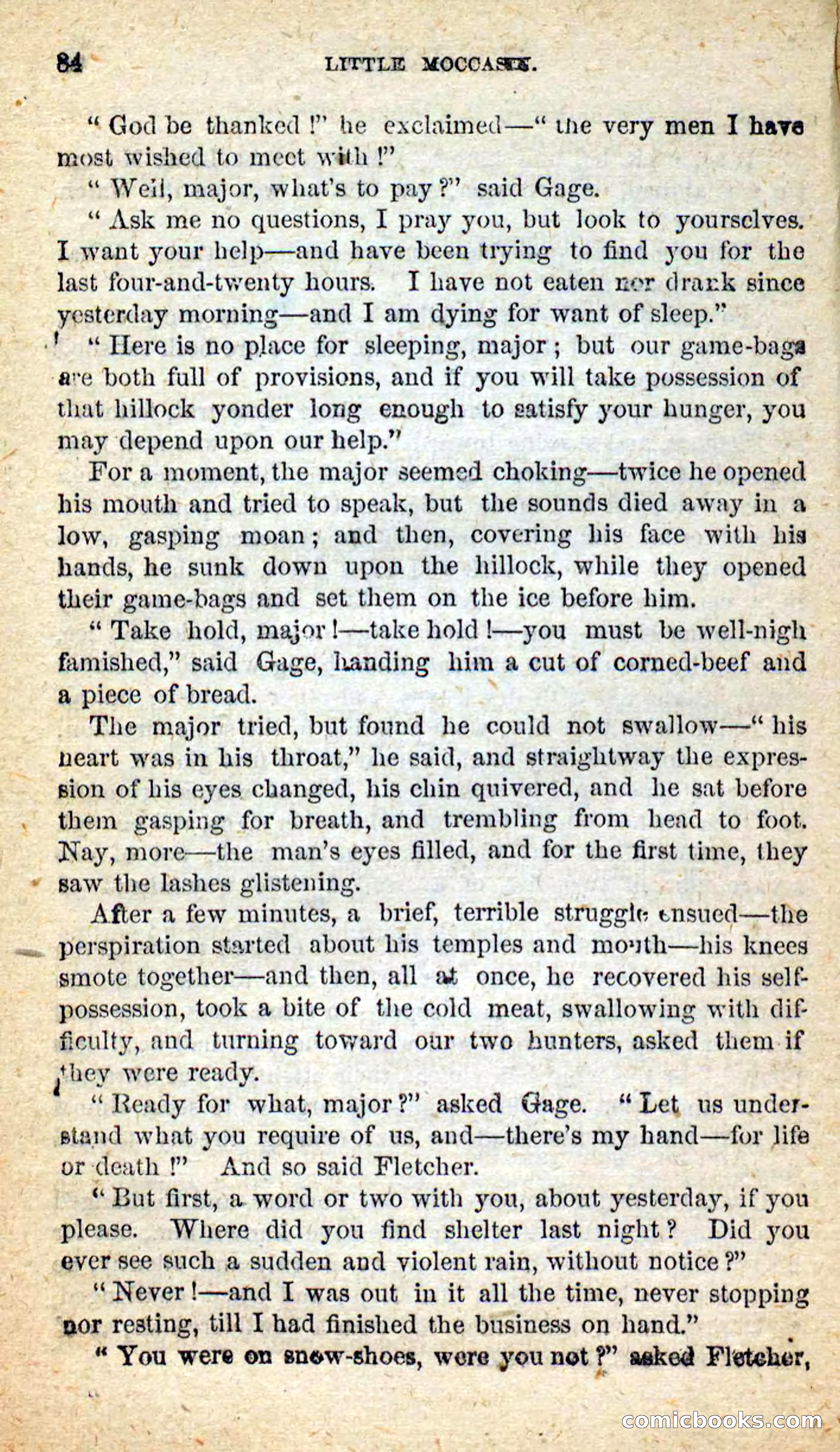 Beadle's New Dime Novels: Little Moccasin — page 80 of 101