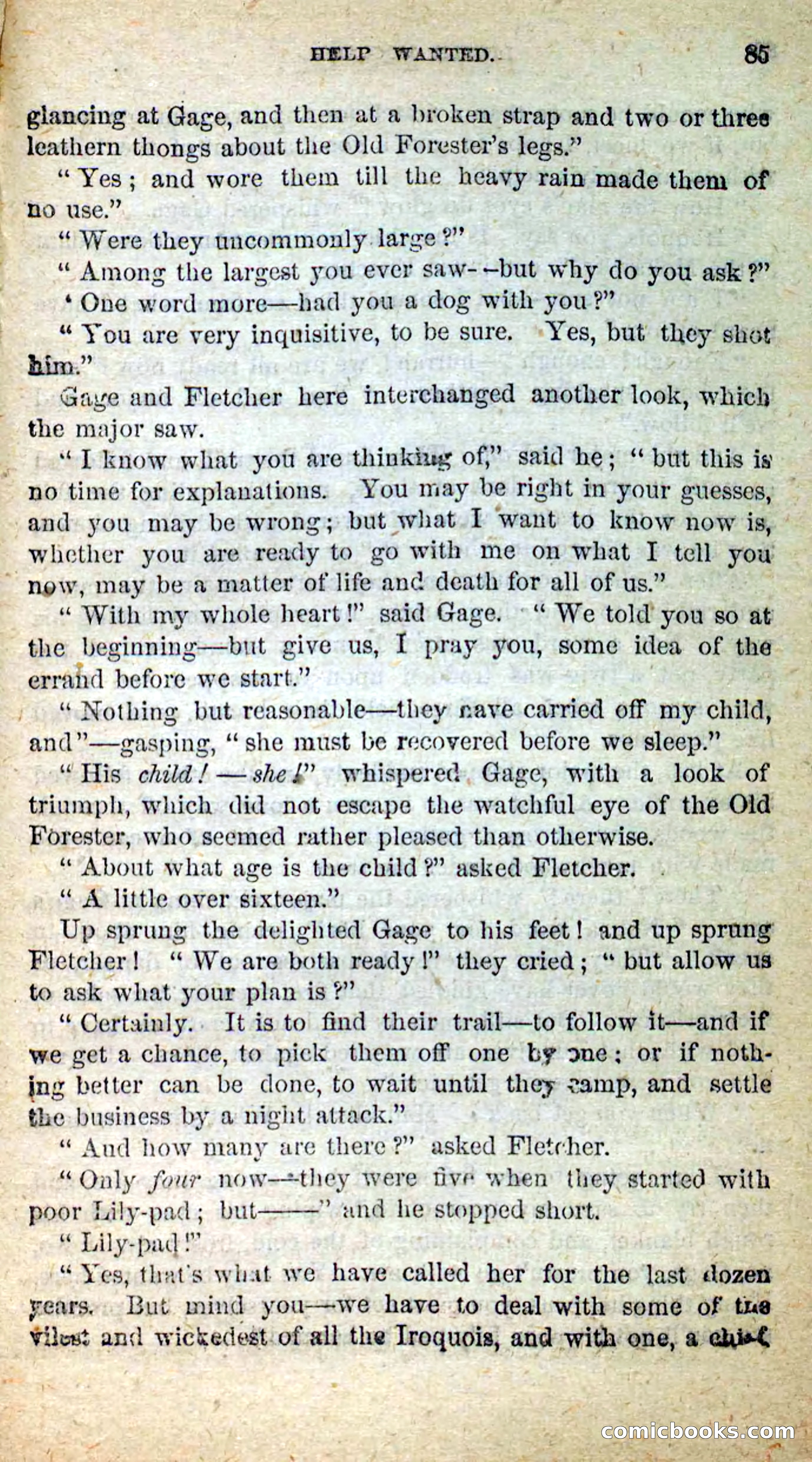 Beadle's New Dime Novels: Little Moccasin — page 81 of 101