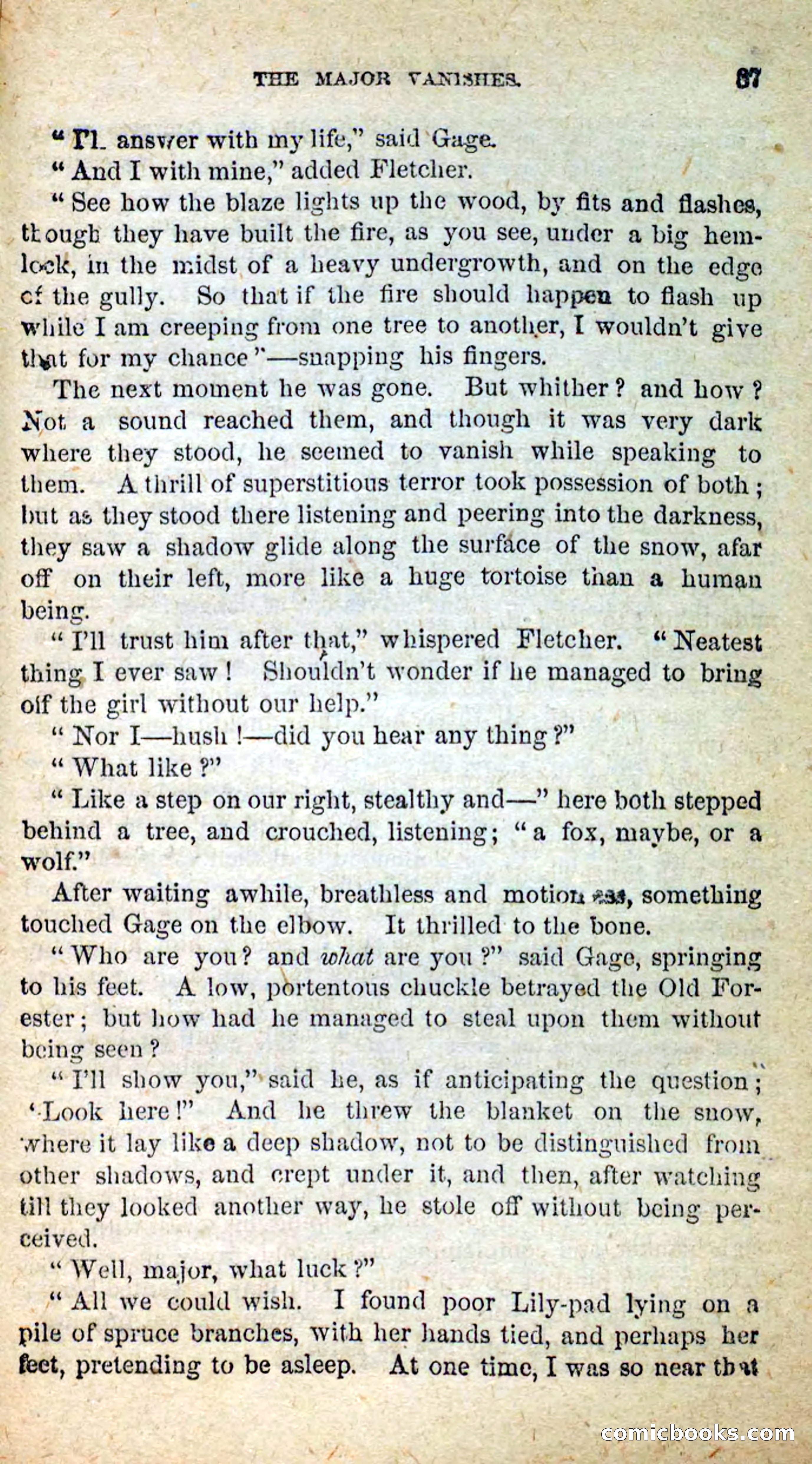 Beadle's New Dime Novels: Little Moccasin — page 83 of 101