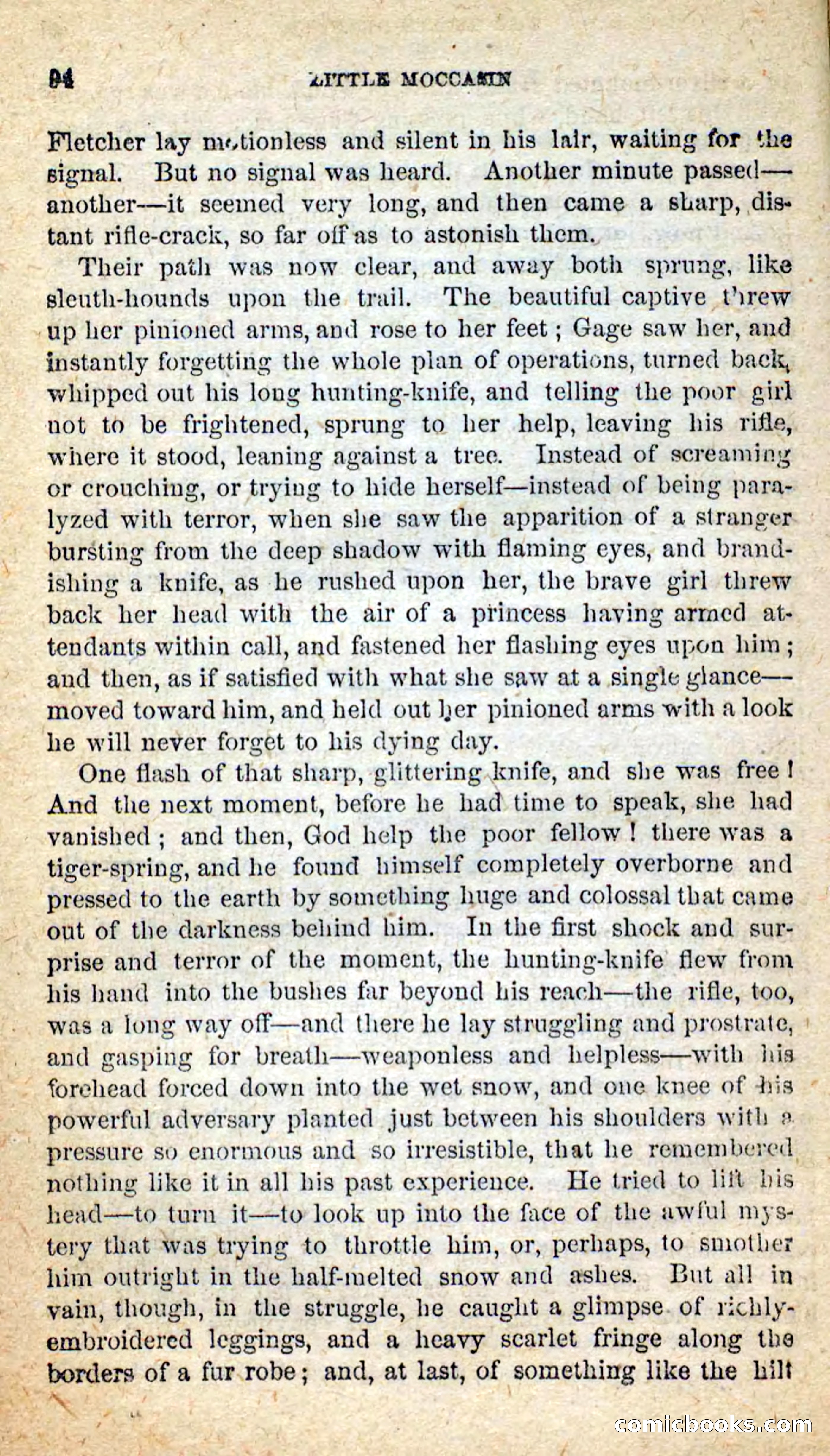 Beadle's New Dime Novels: Little Moccasin — page 90 of 101