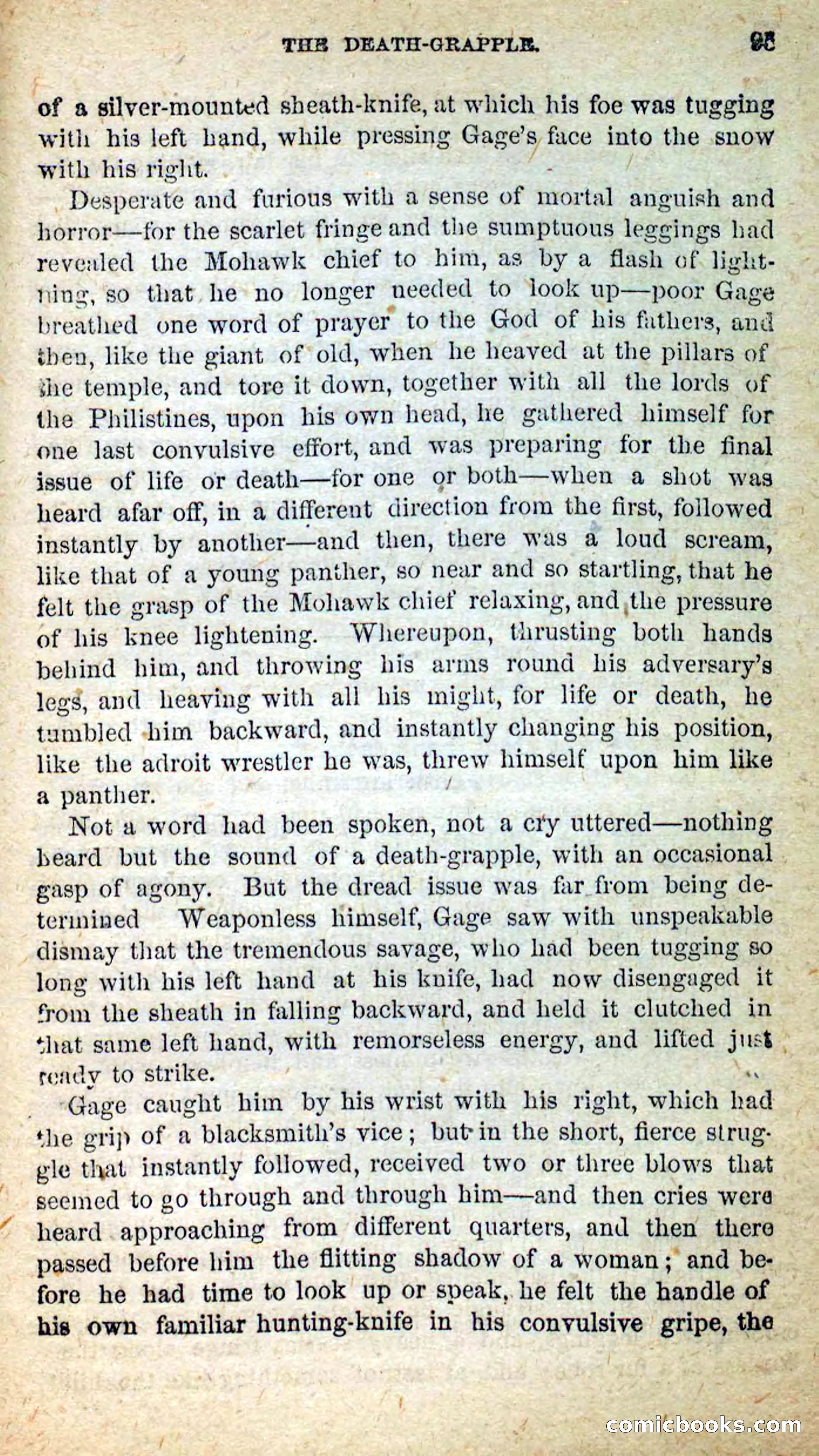 Beadle's New Dime Novels: Little Moccasin — page 91 of 101