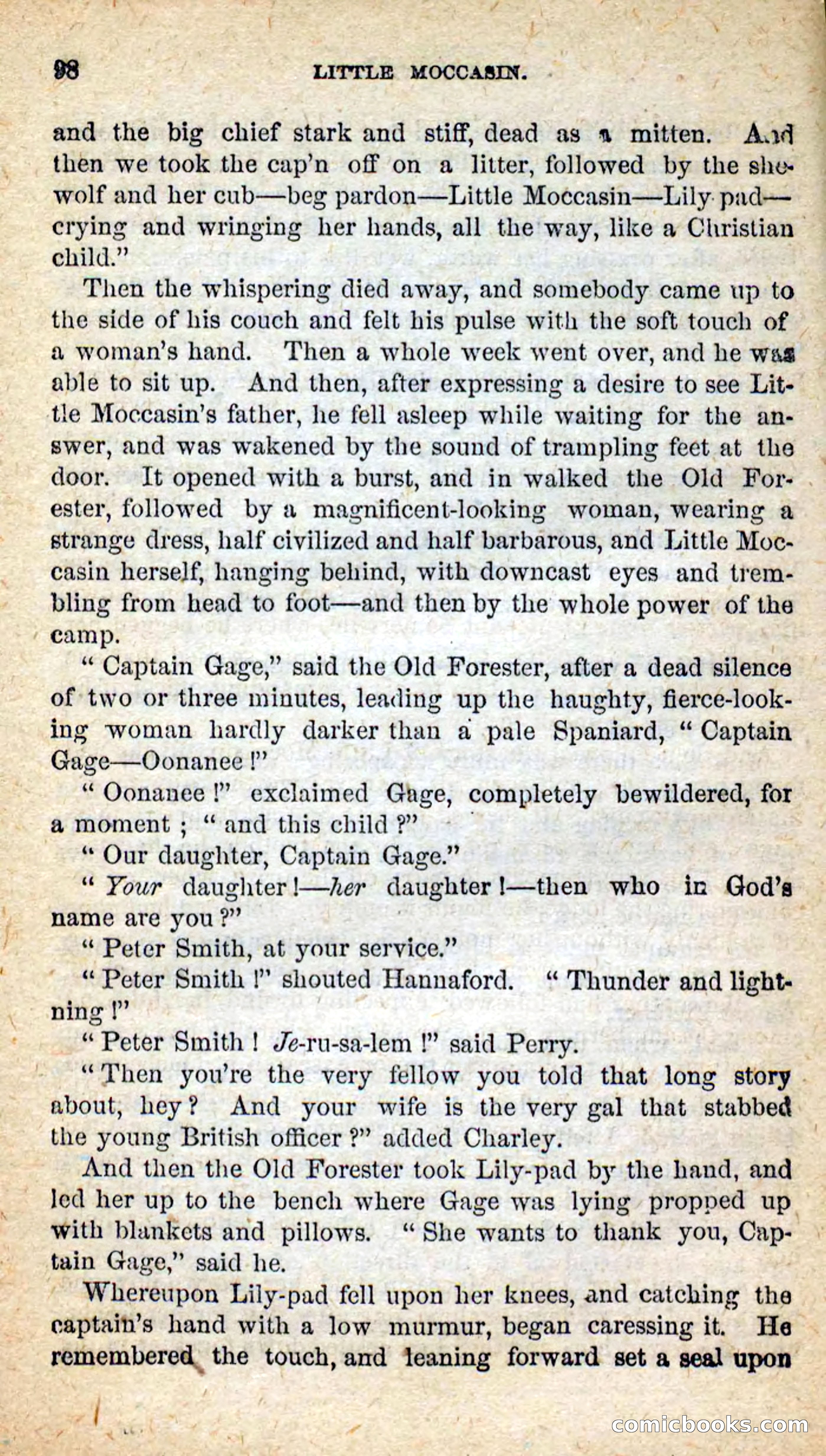Beadle's New Dime Novels: Little Moccasin — page 94 of 101