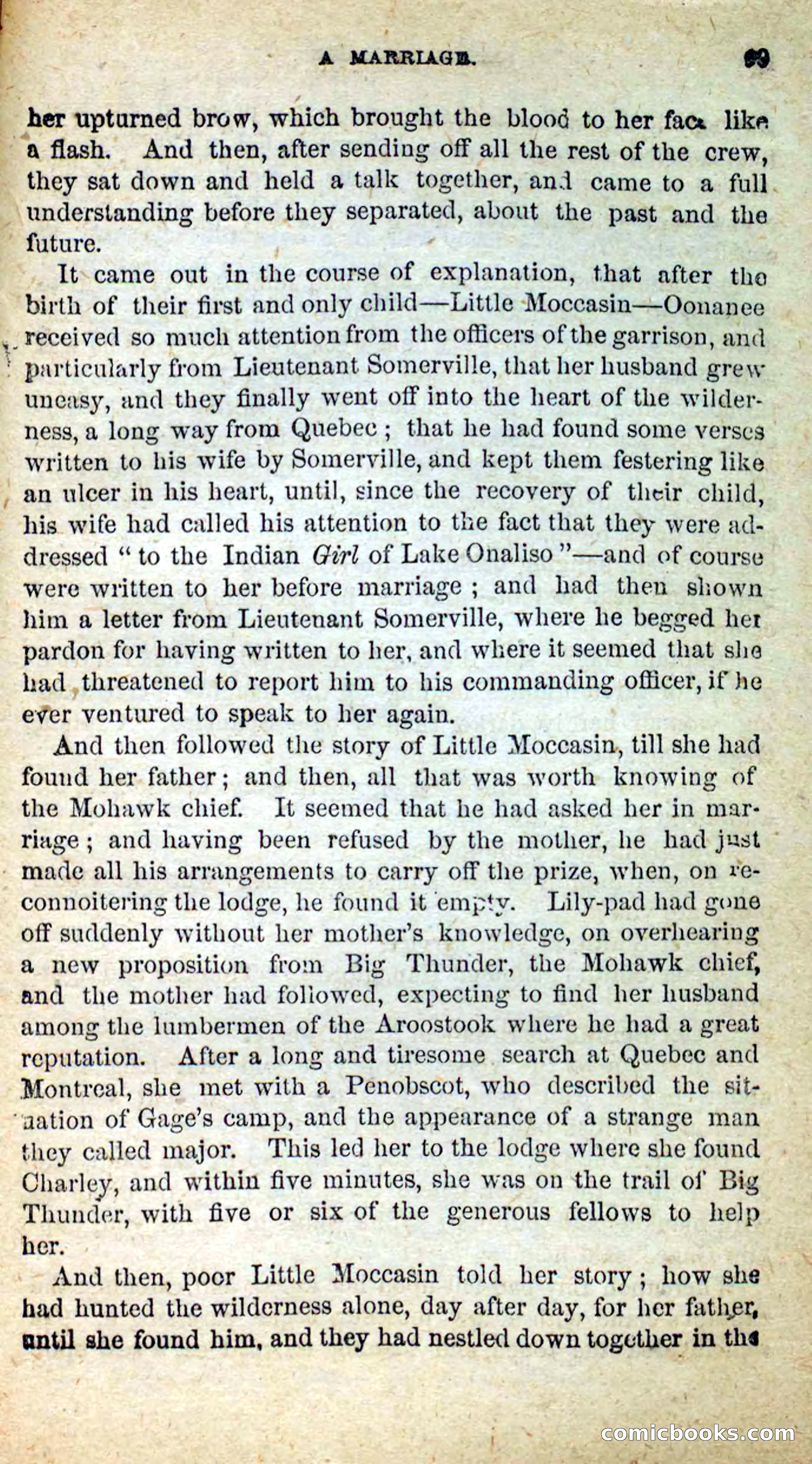 Beadle's New Dime Novels: Little Moccasin — page 95 of 101