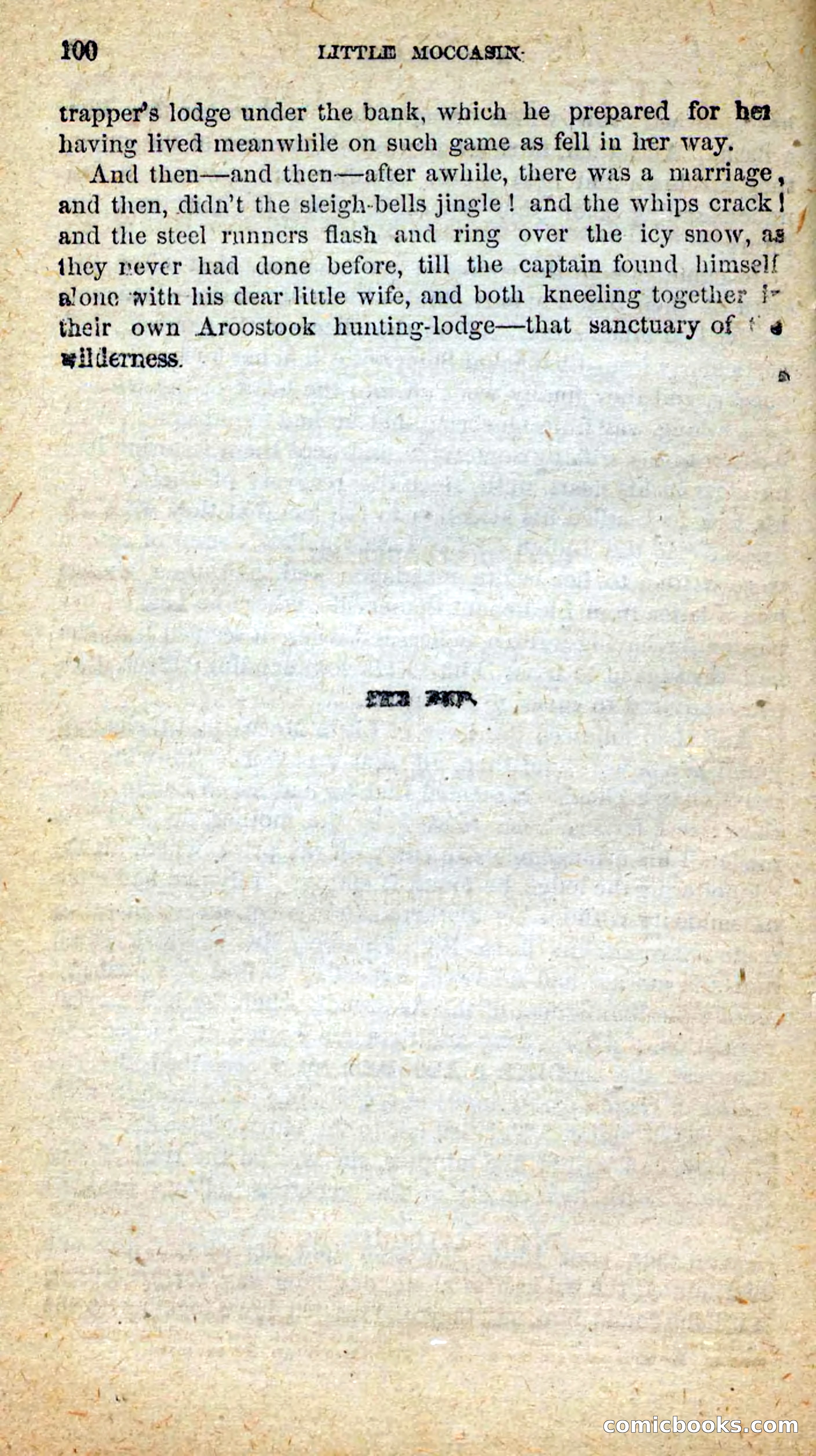 Beadle's New Dime Novels: Little Moccasin — page 96 of 101