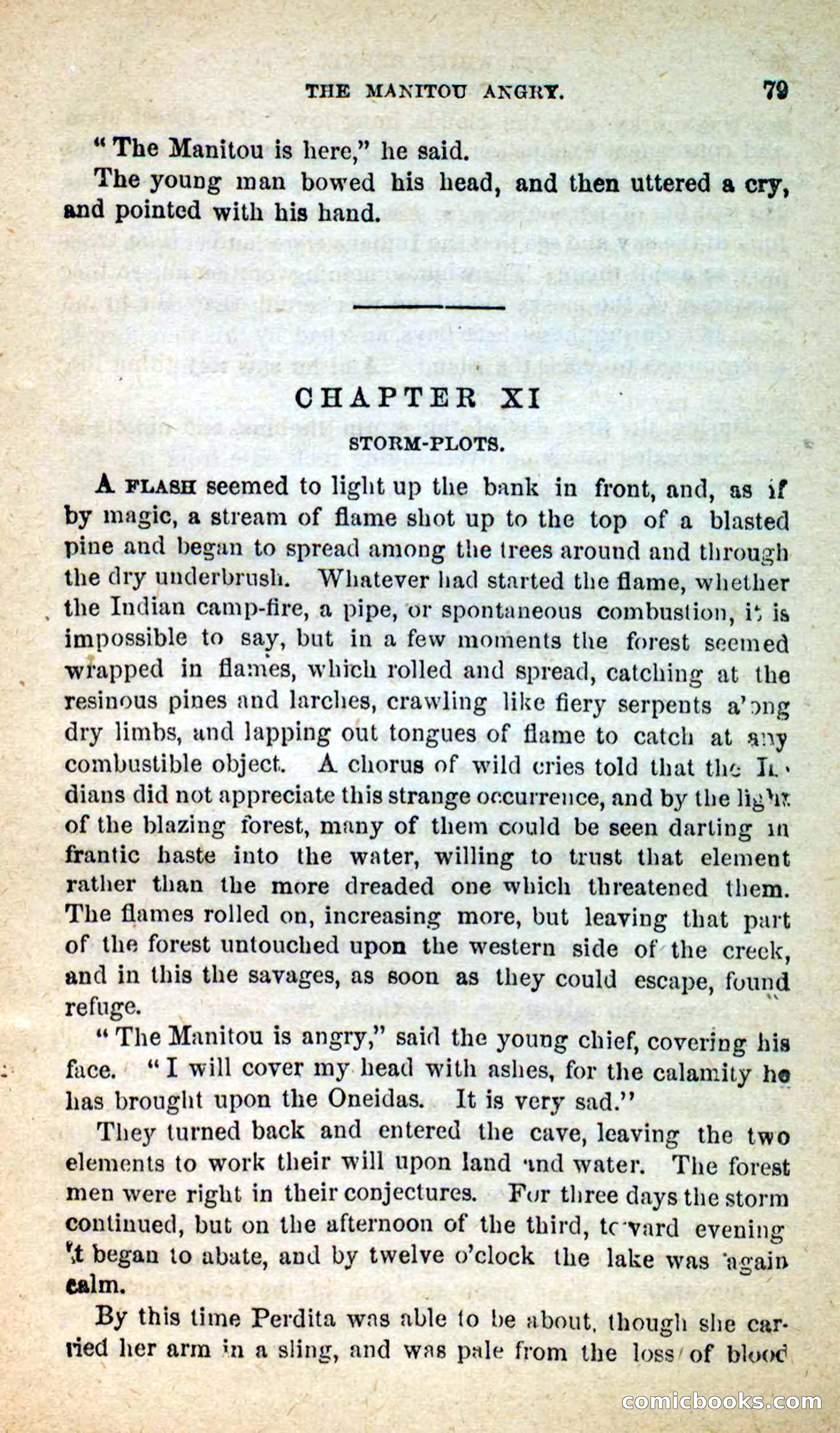 The White Hermit — page 75 of 100