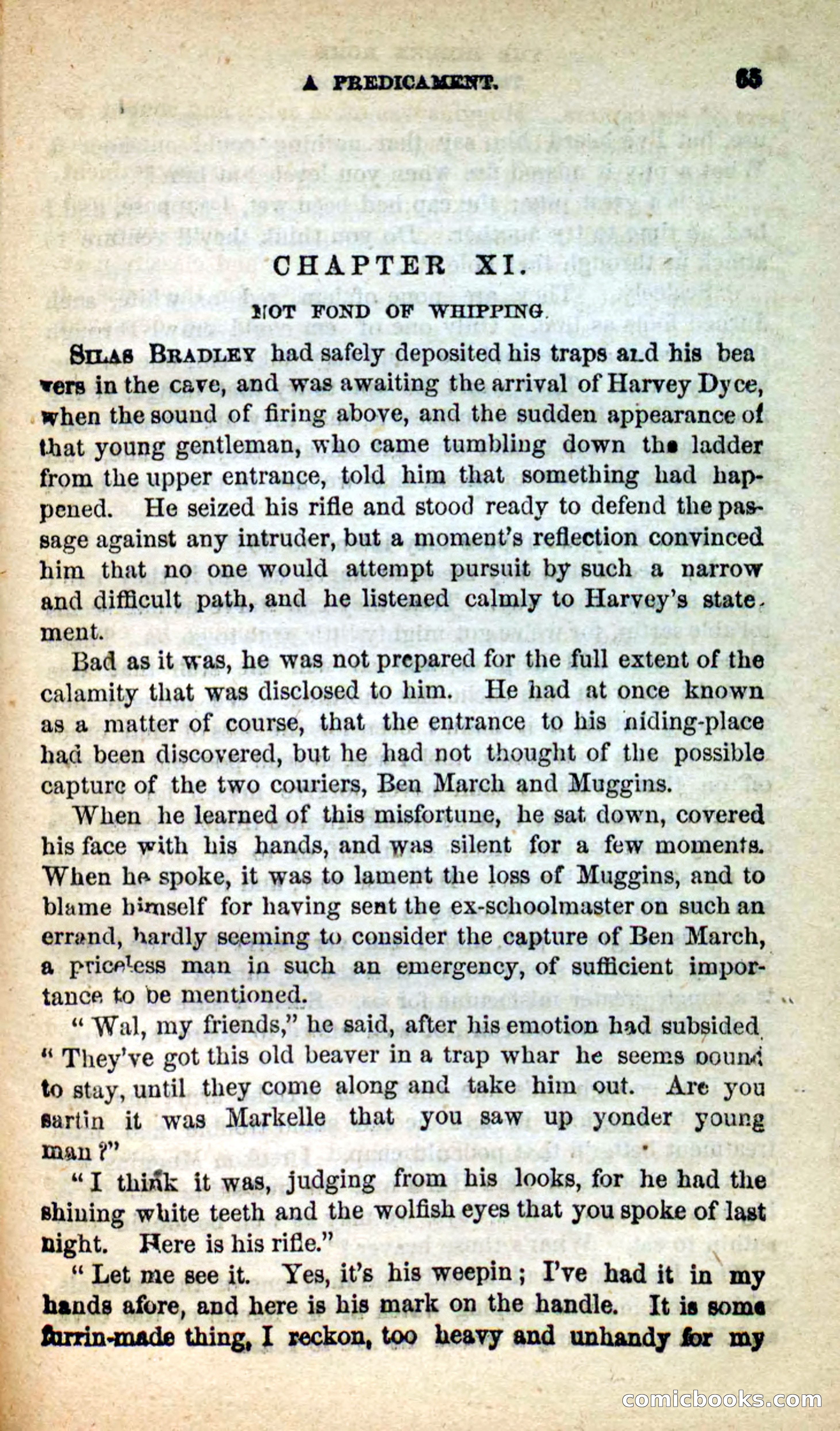 The Backwoods Banditti — page 61 of 100