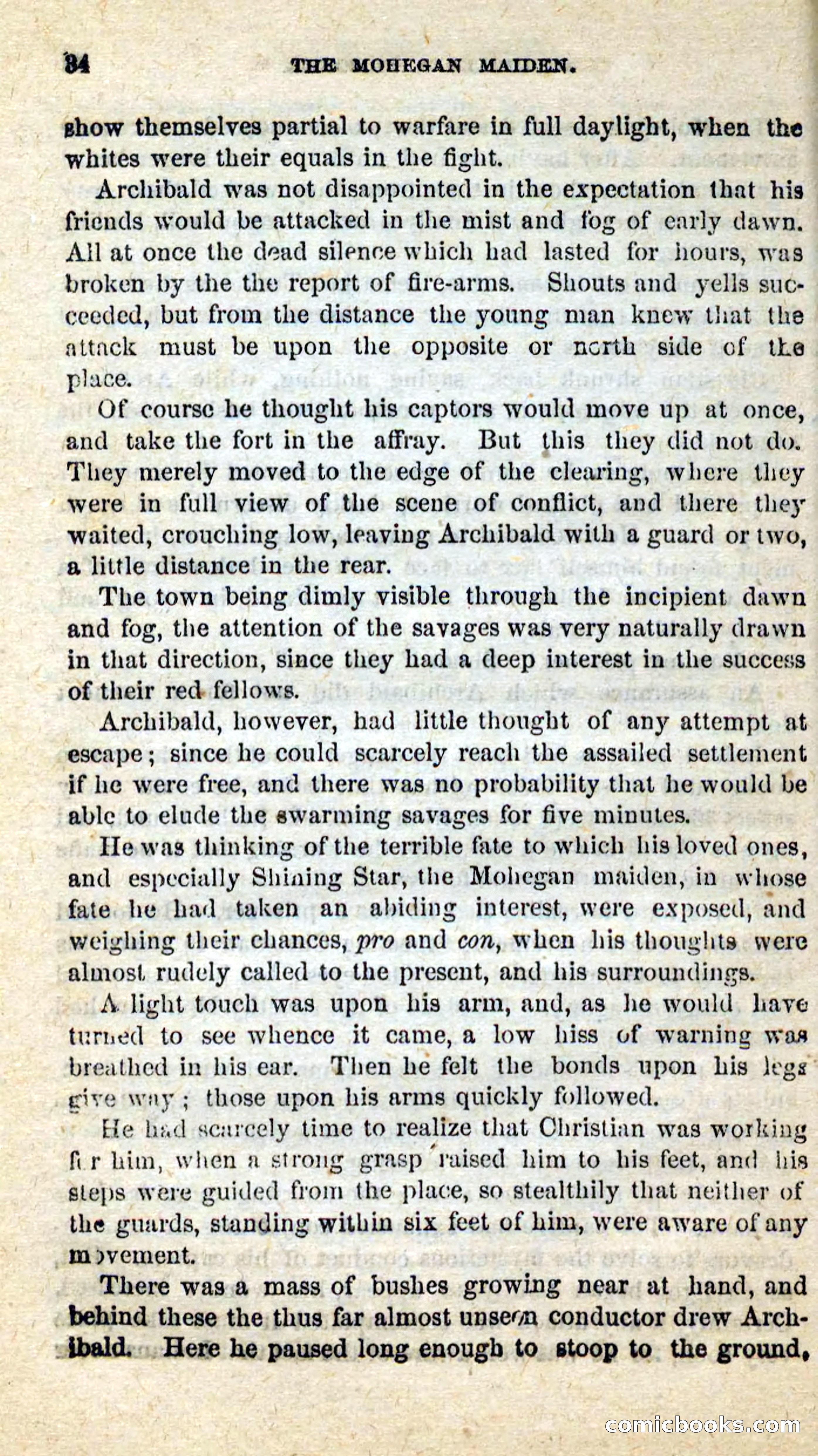 The Mohegan Maiden — page 30 of 99
