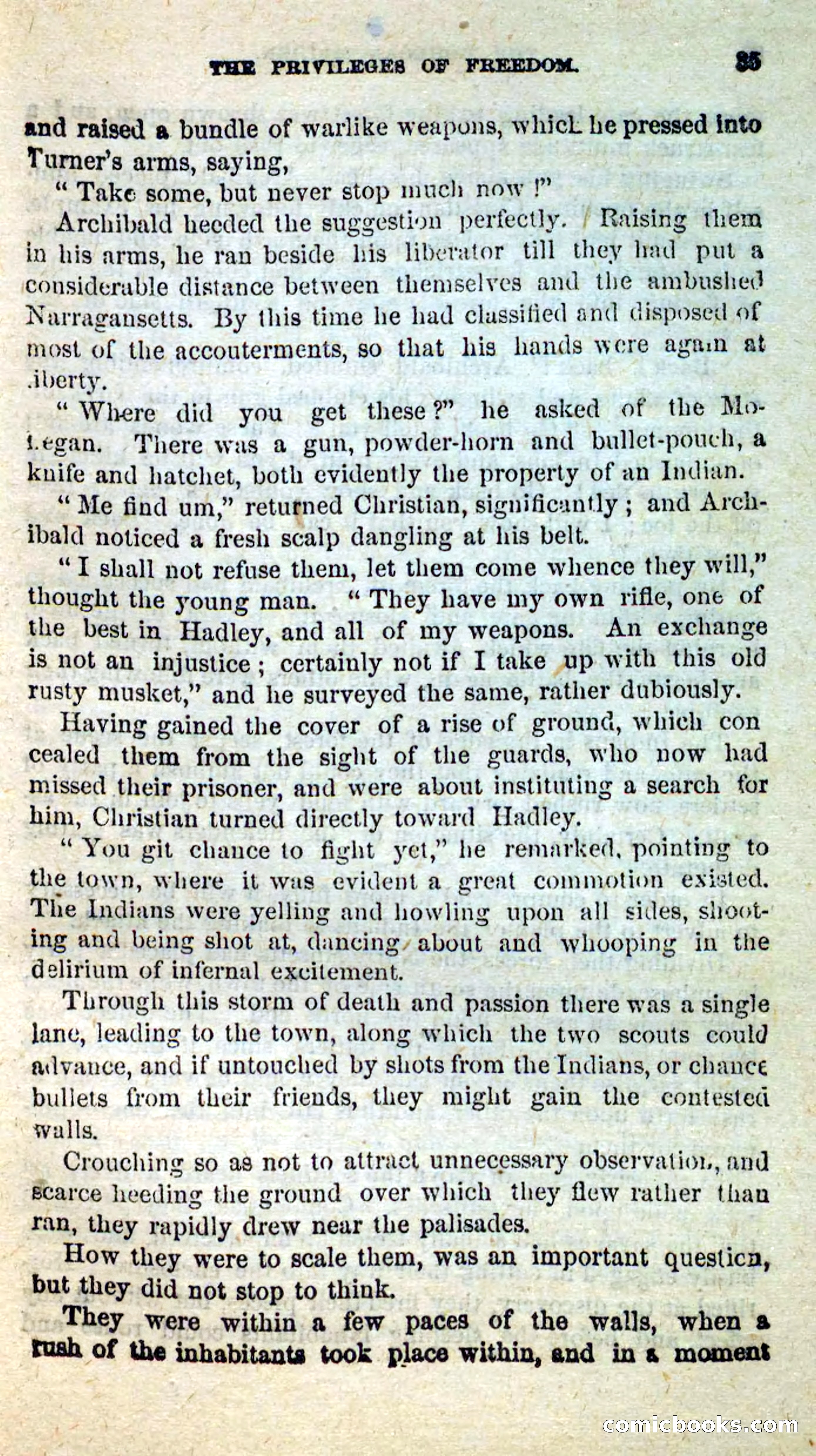 The Mohegan Maiden — page 31 of 99