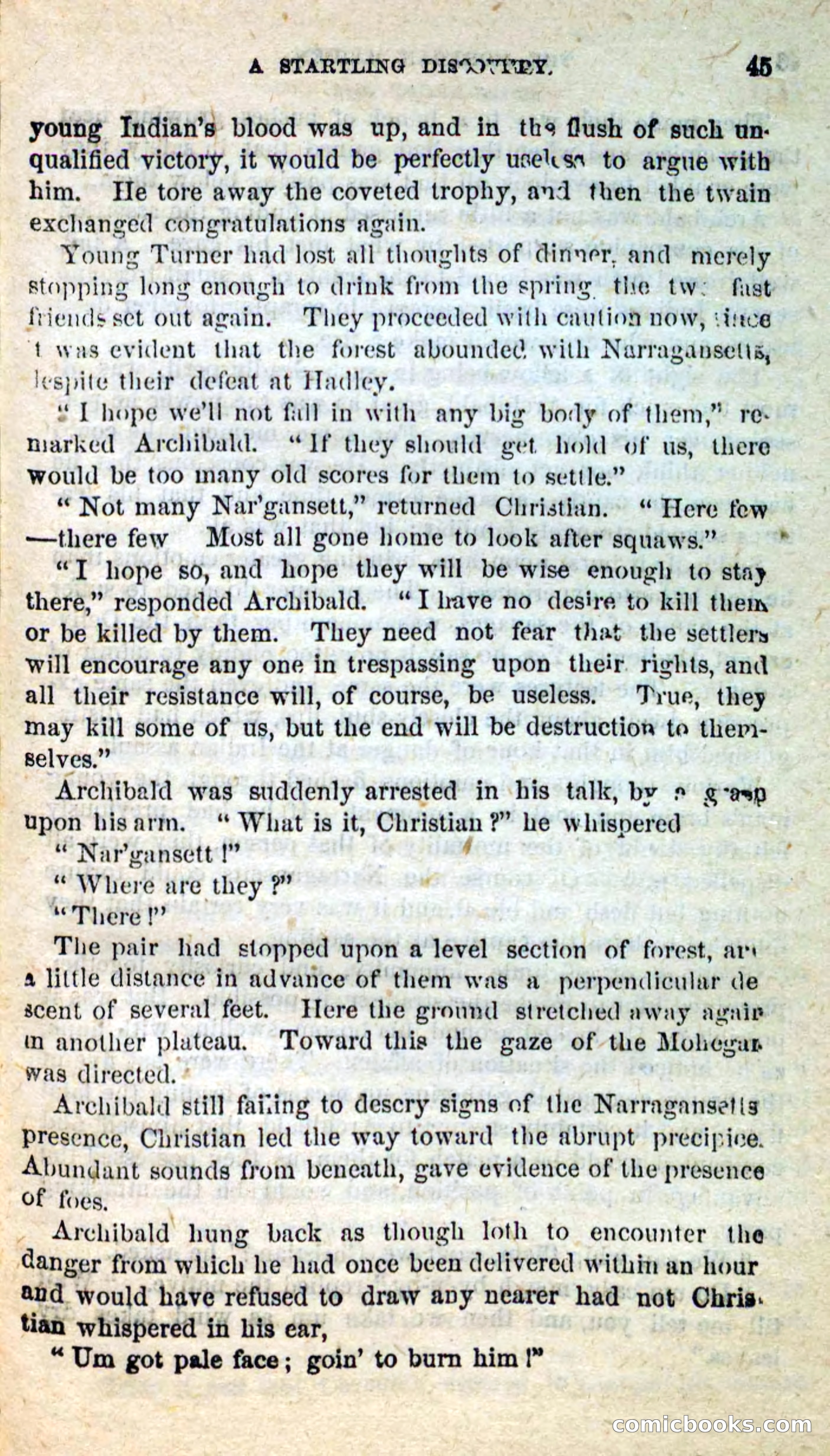 The Mohegan Maiden — page 41 of 99