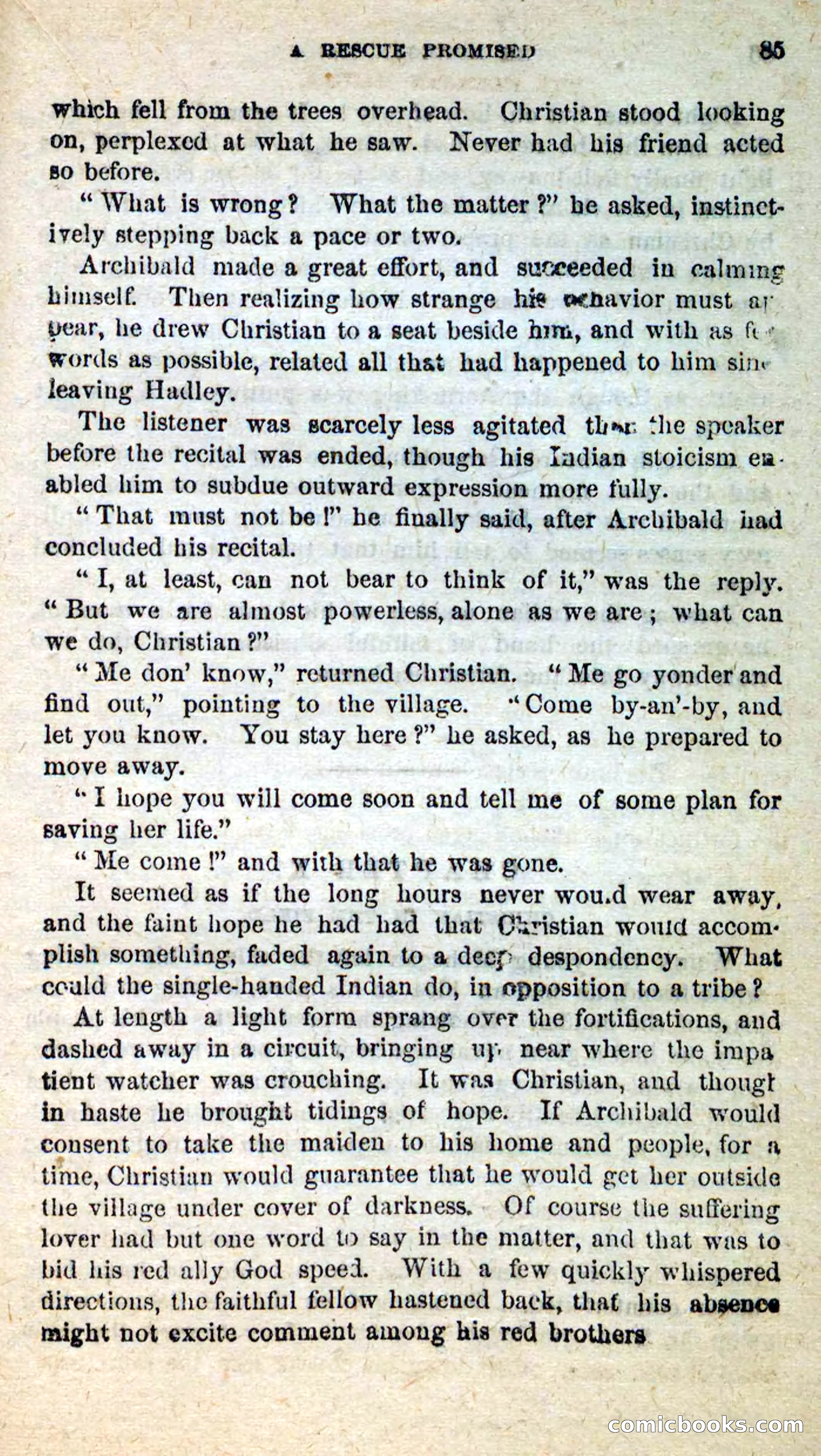 The Mohegan Maiden — page 81 of 99
