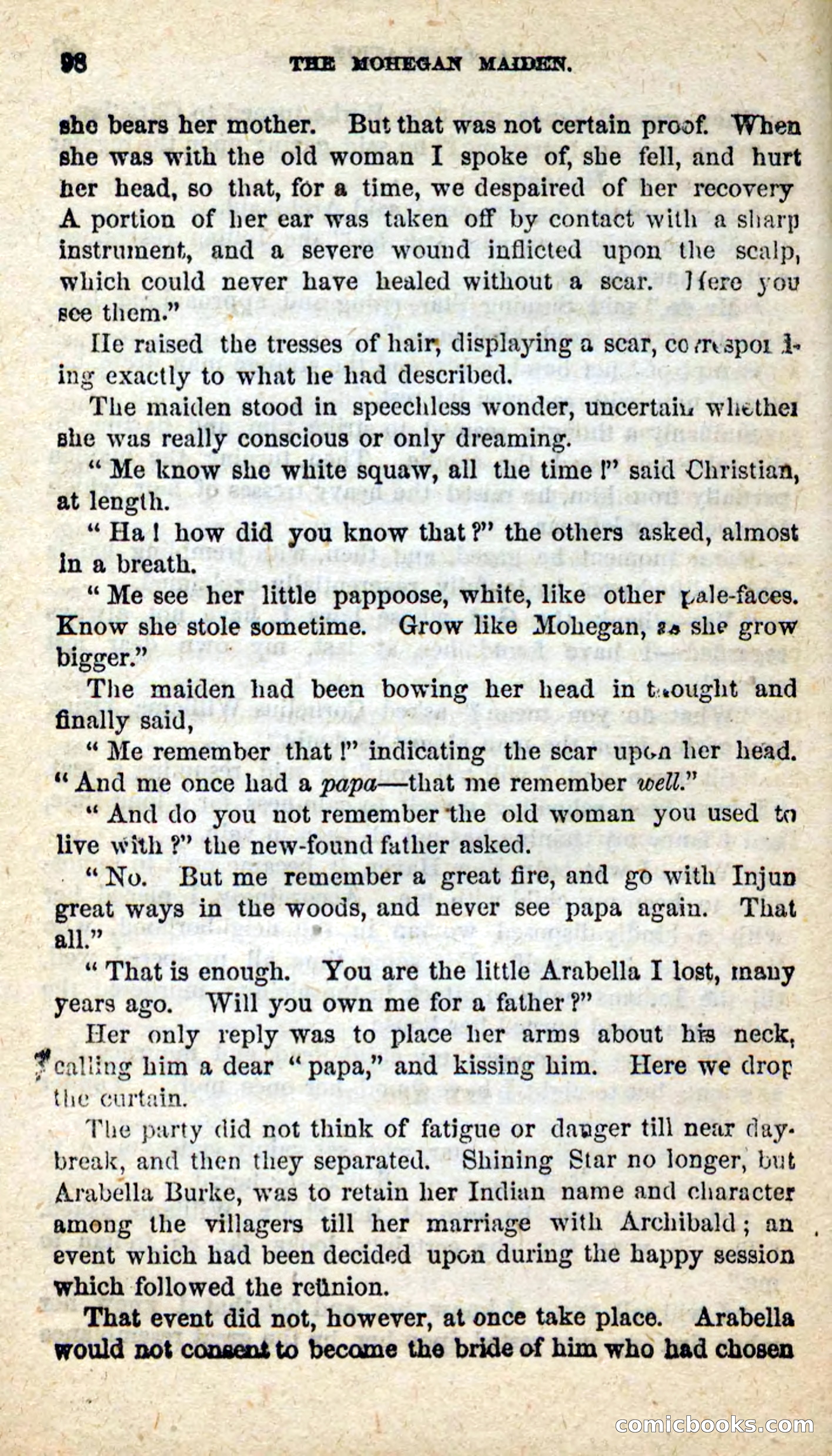 The Mohegan Maiden — page 94 of 99