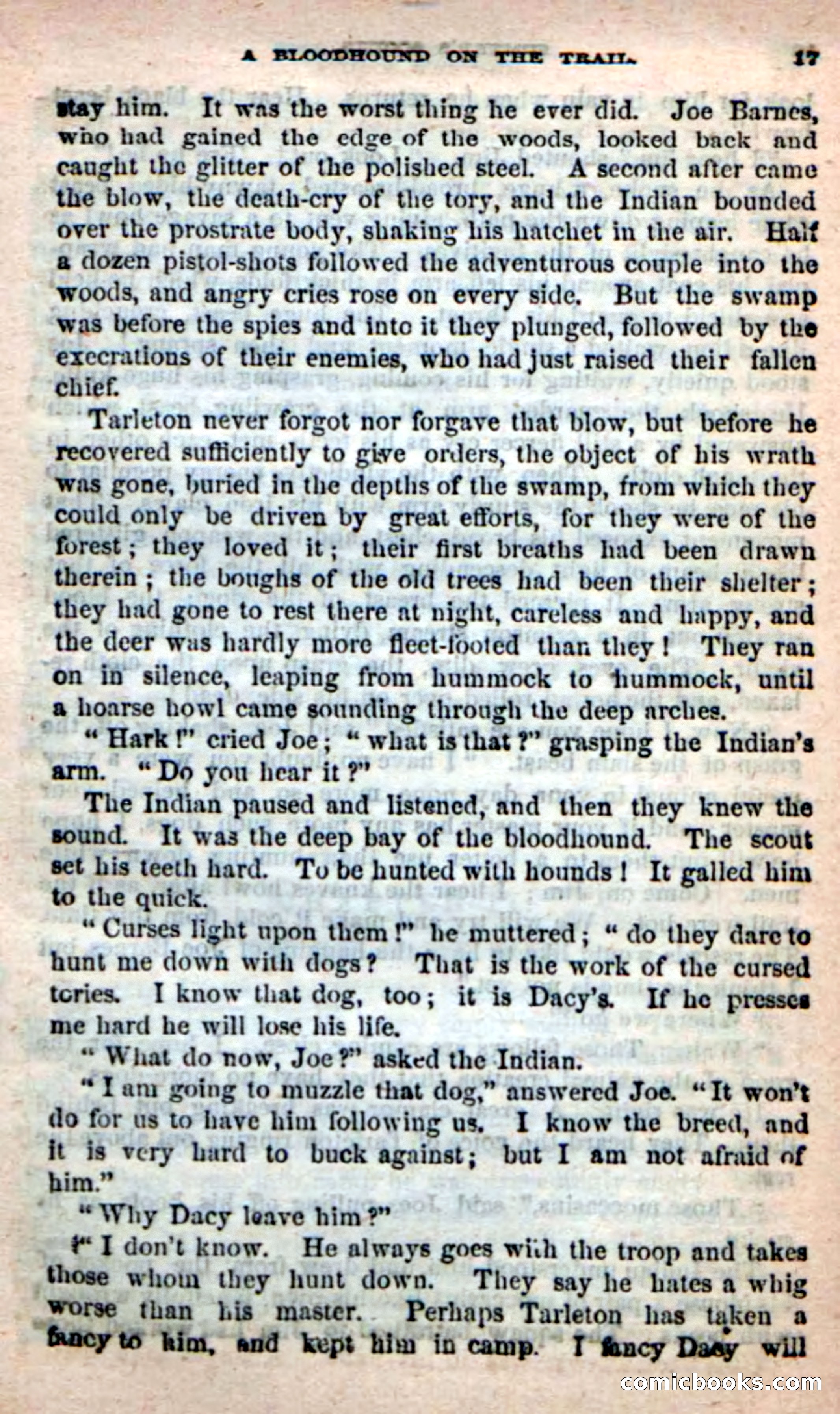 Beadle's New Dime Novels: Sumter's Scouts — page 13 of 100