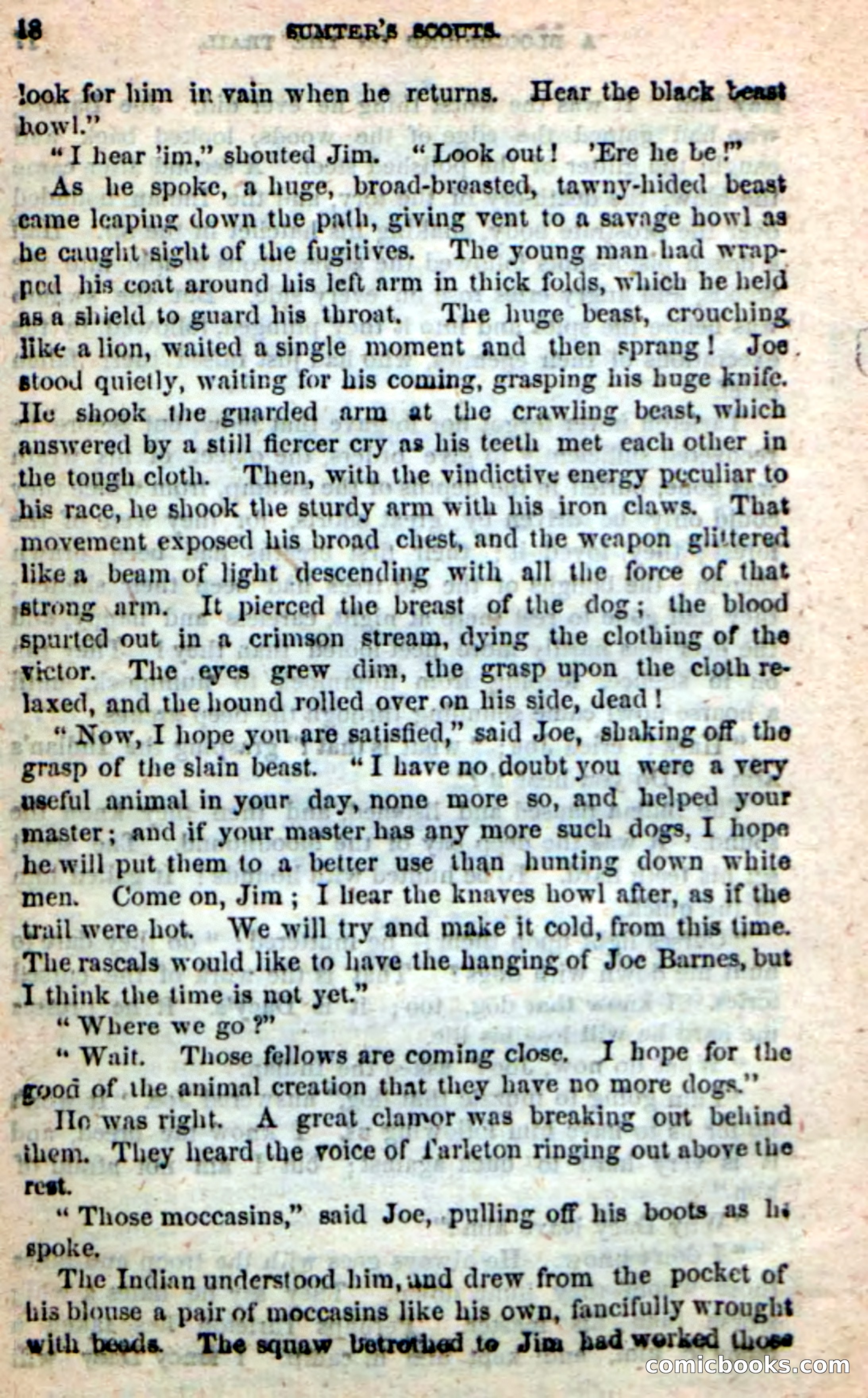 Beadle's New Dime Novels: Sumter's Scouts — page 14 of 100