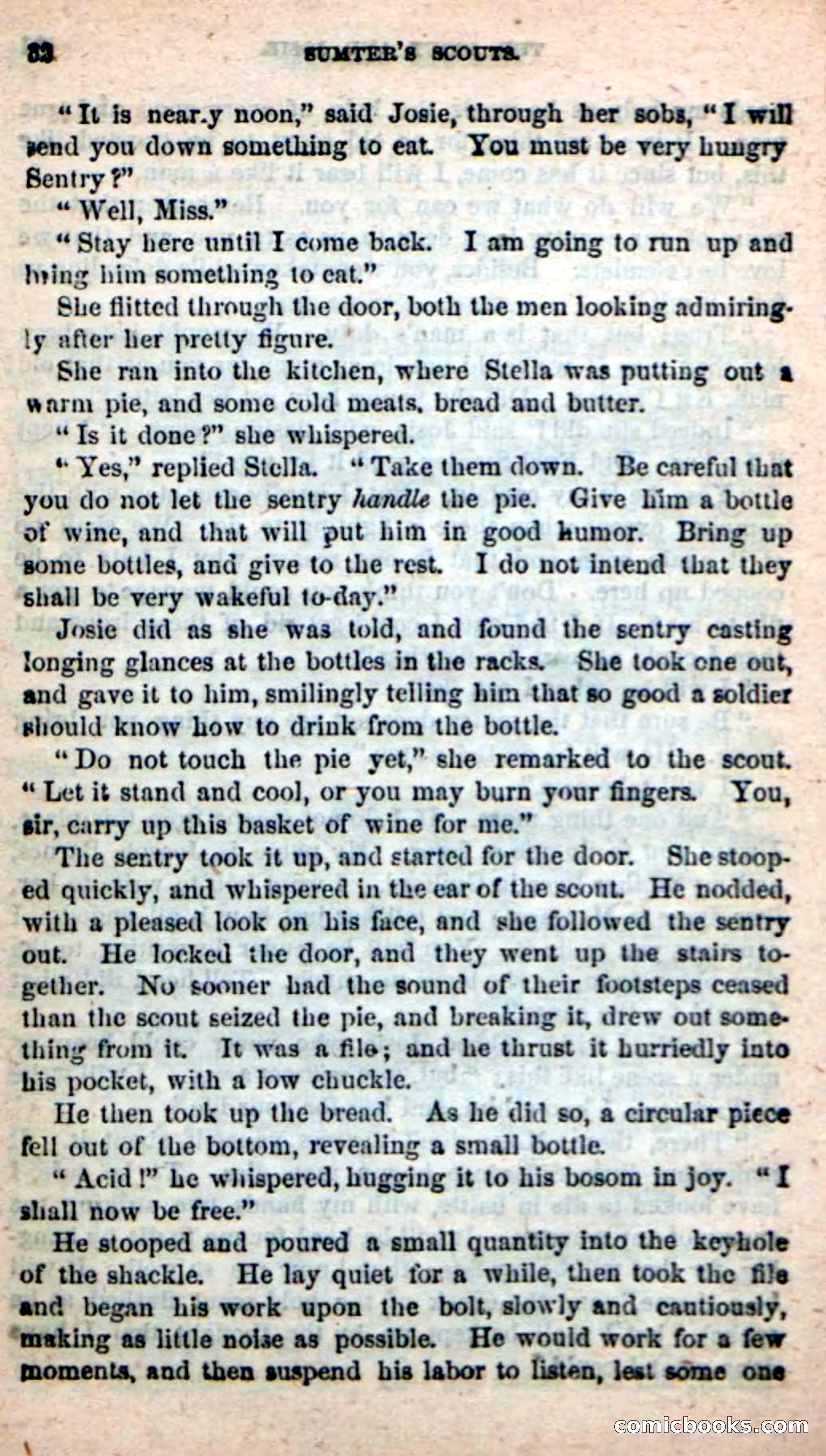 Beadle's New Dime Novels: Sumter's Scouts — page 28 of 100