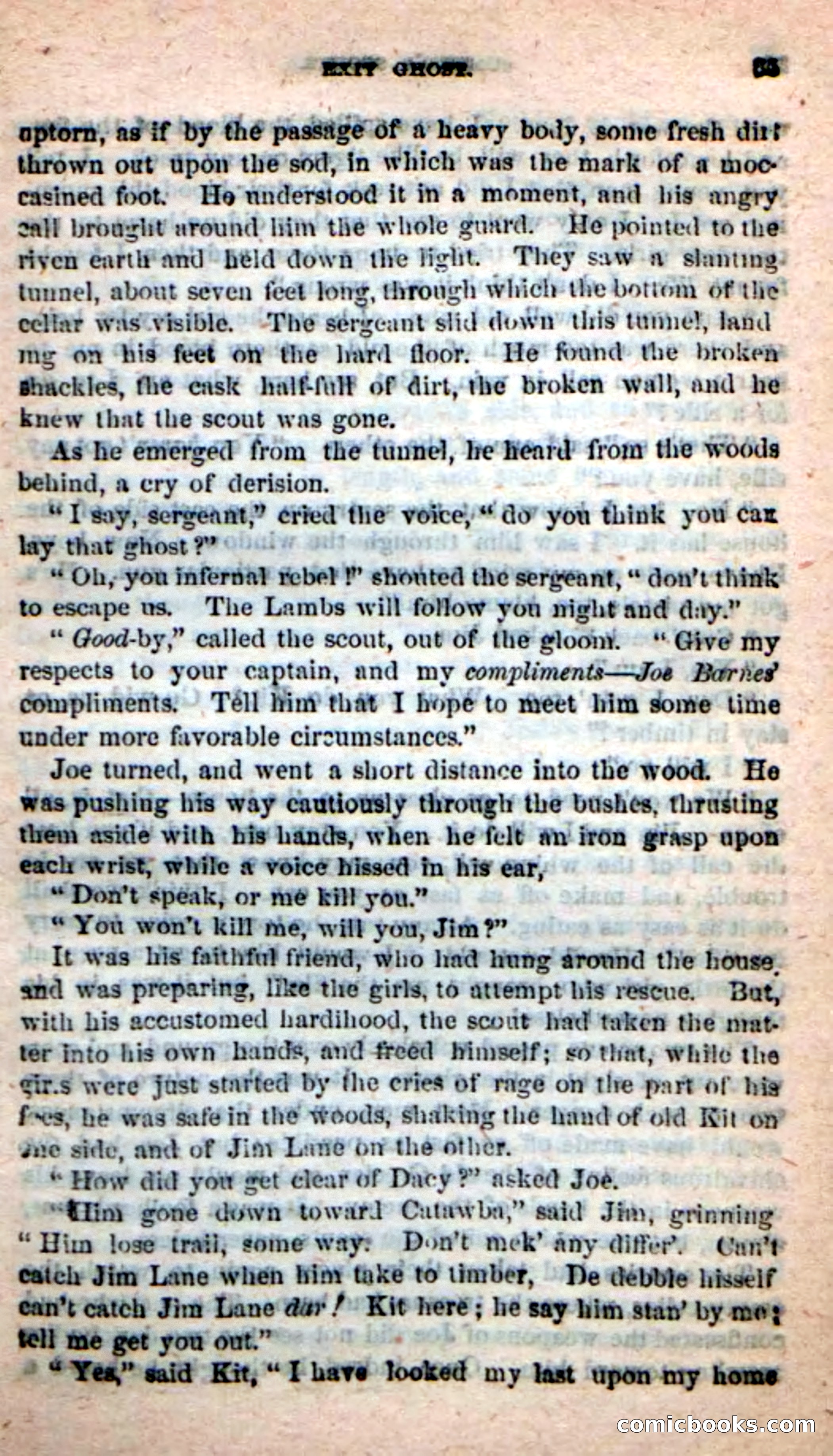 Beadle's New Dime Novels: Sumter's Scouts — page 31 of 100