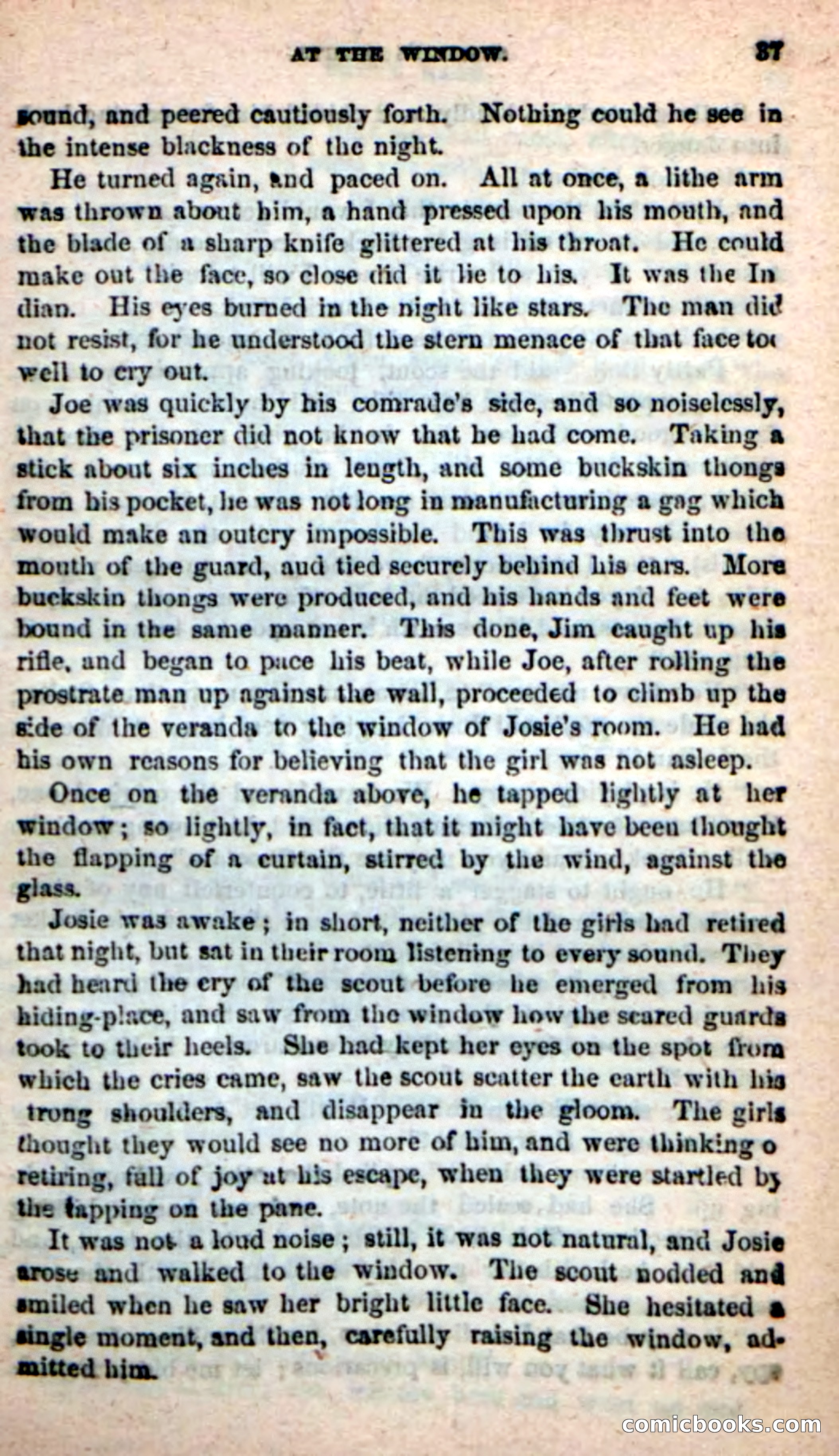 Beadle's New Dime Novels: Sumter's Scouts — page 33 of 100