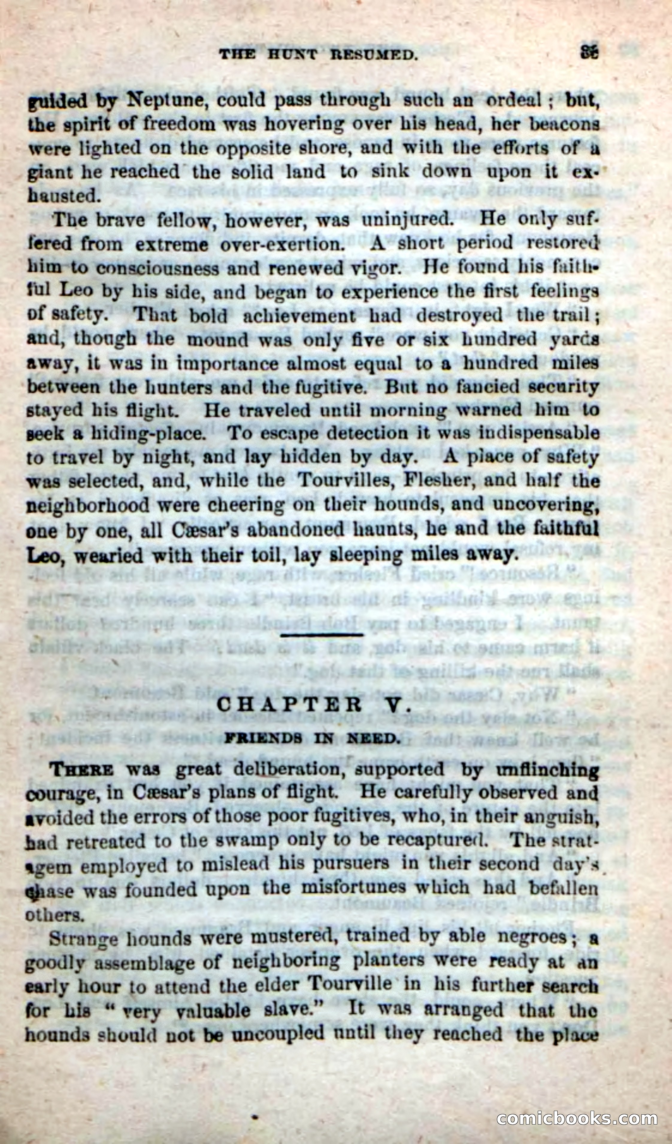 Beadle's New Dime Novels: The Two Guards — page 29 of 100