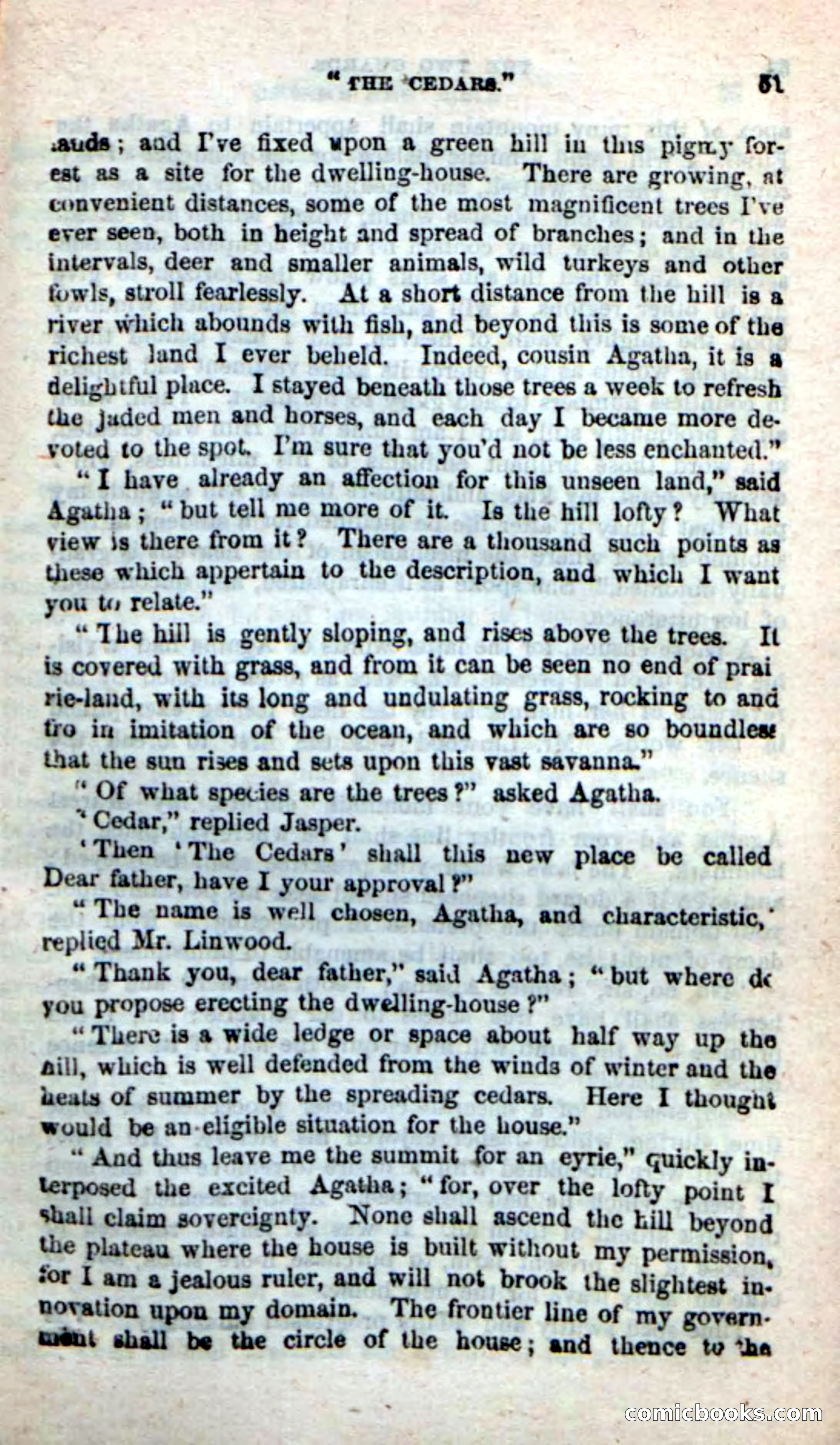 Beadle's New Dime Novels: The Two Guards — page 47 of 100