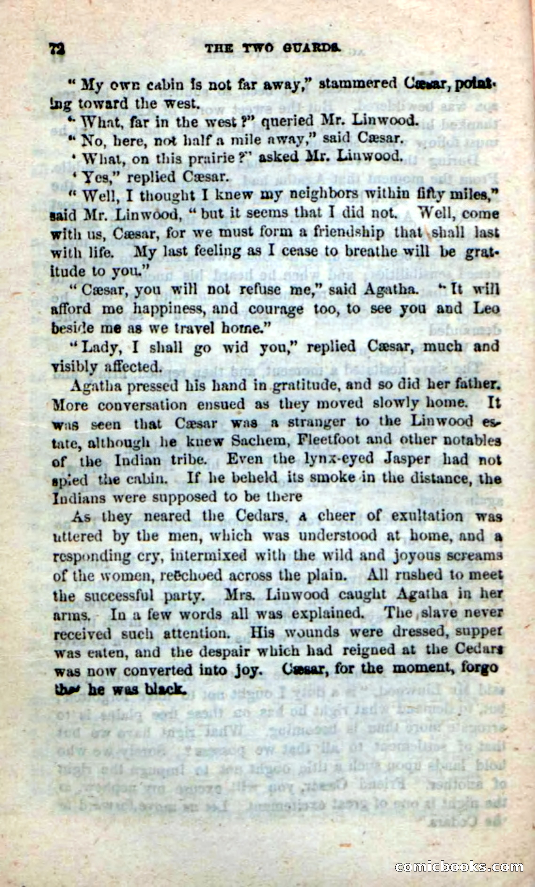 Beadle's New Dime Novels: The Two Guards — page 68 of 100