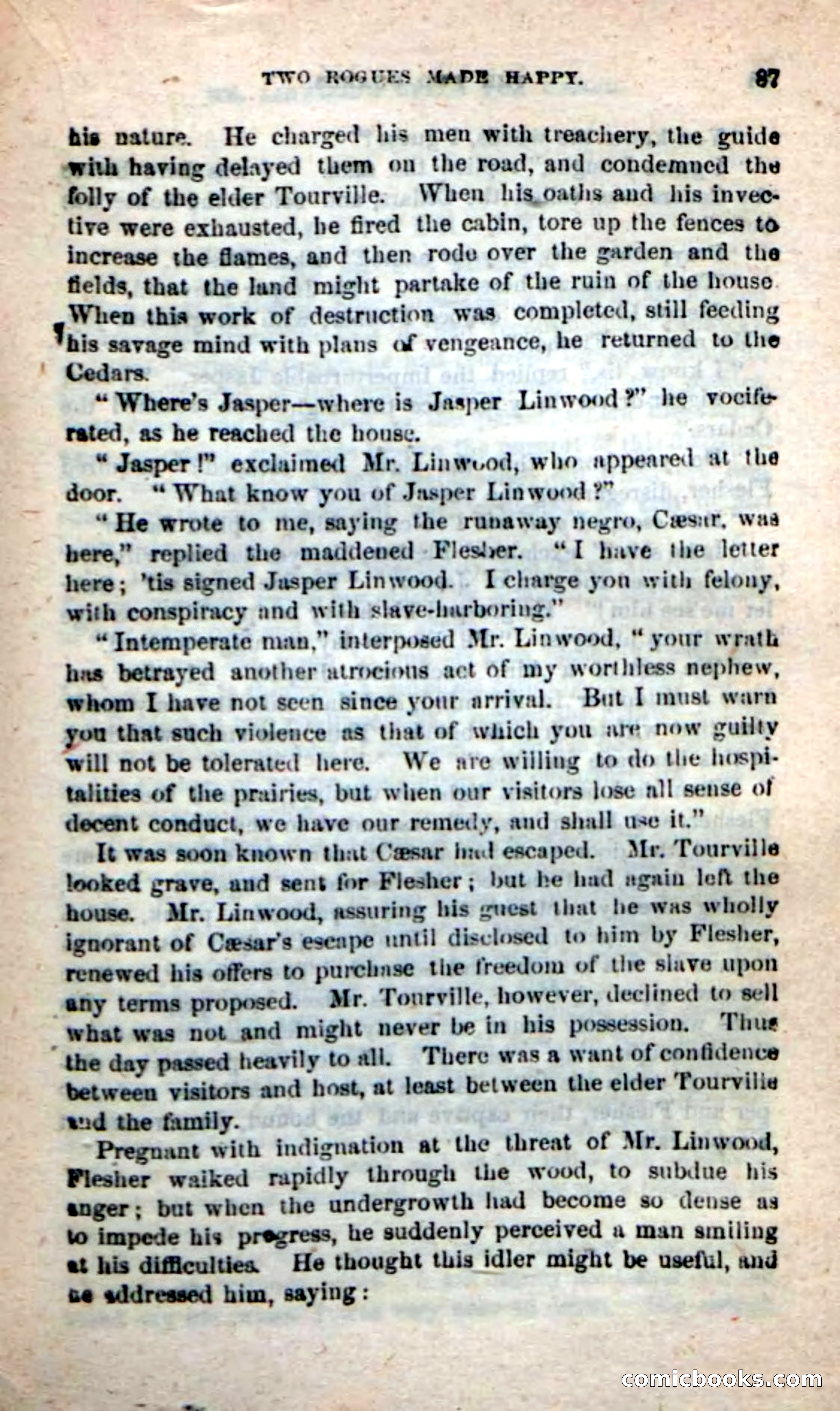 Beadle's New Dime Novels: The Two Guards — page 83 of 100