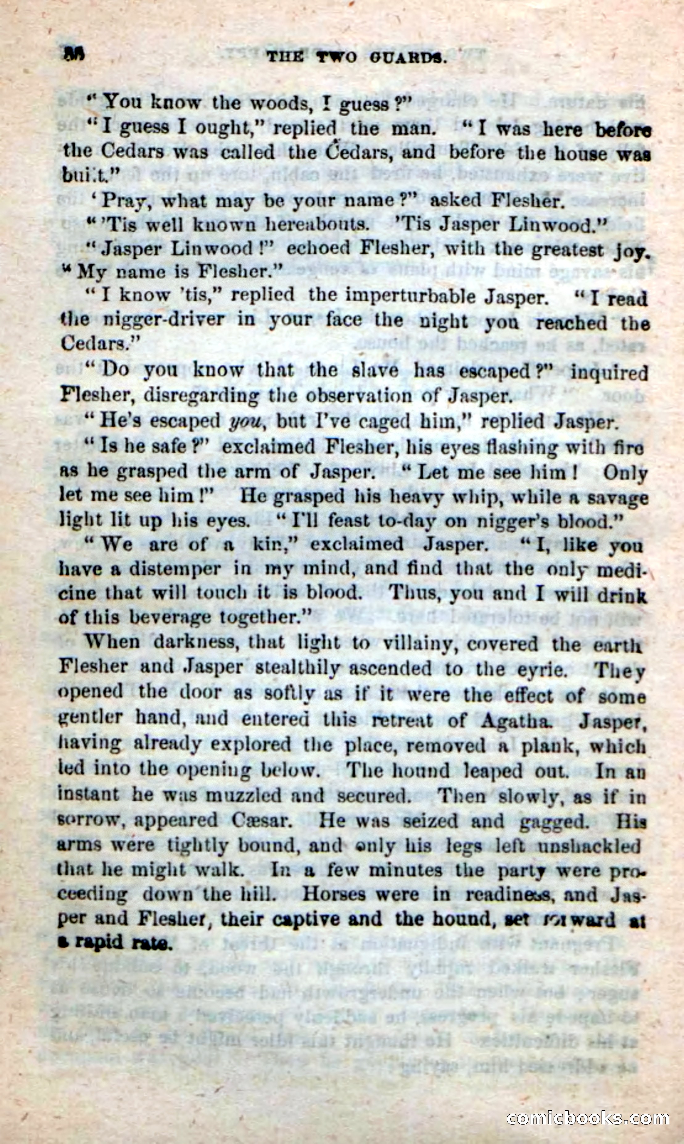 Beadle's New Dime Novels: The Two Guards — page 84 of 100