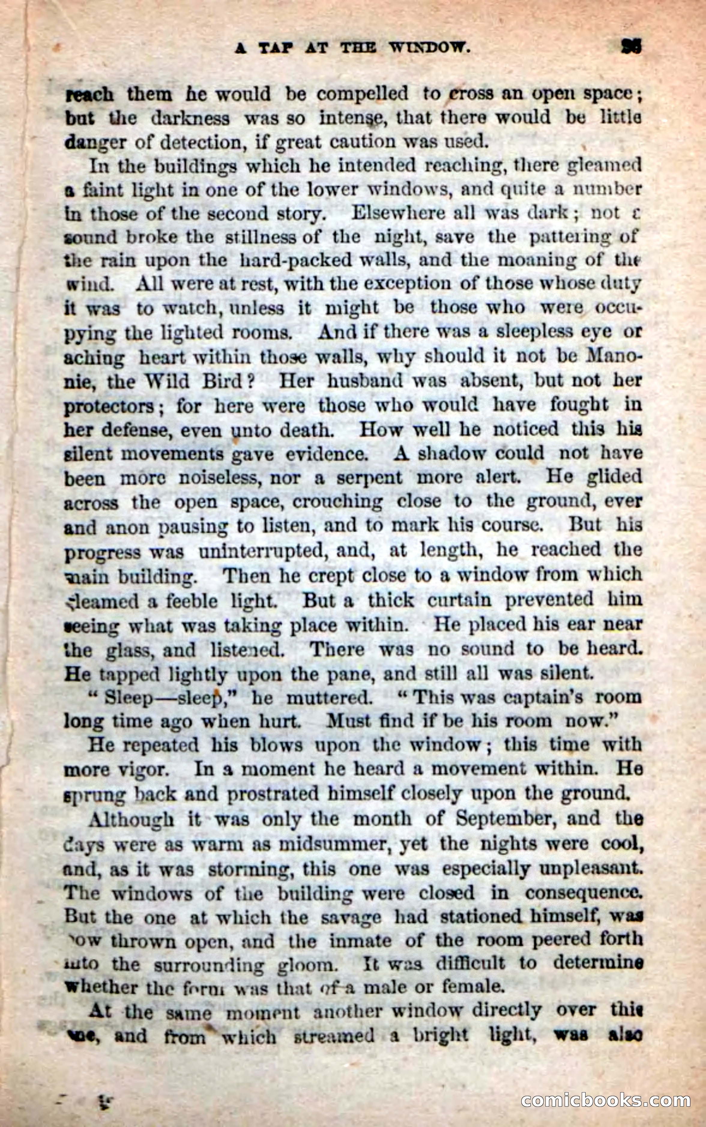 Beadle's New Dime Novels: Quindaro — page 21 of 104