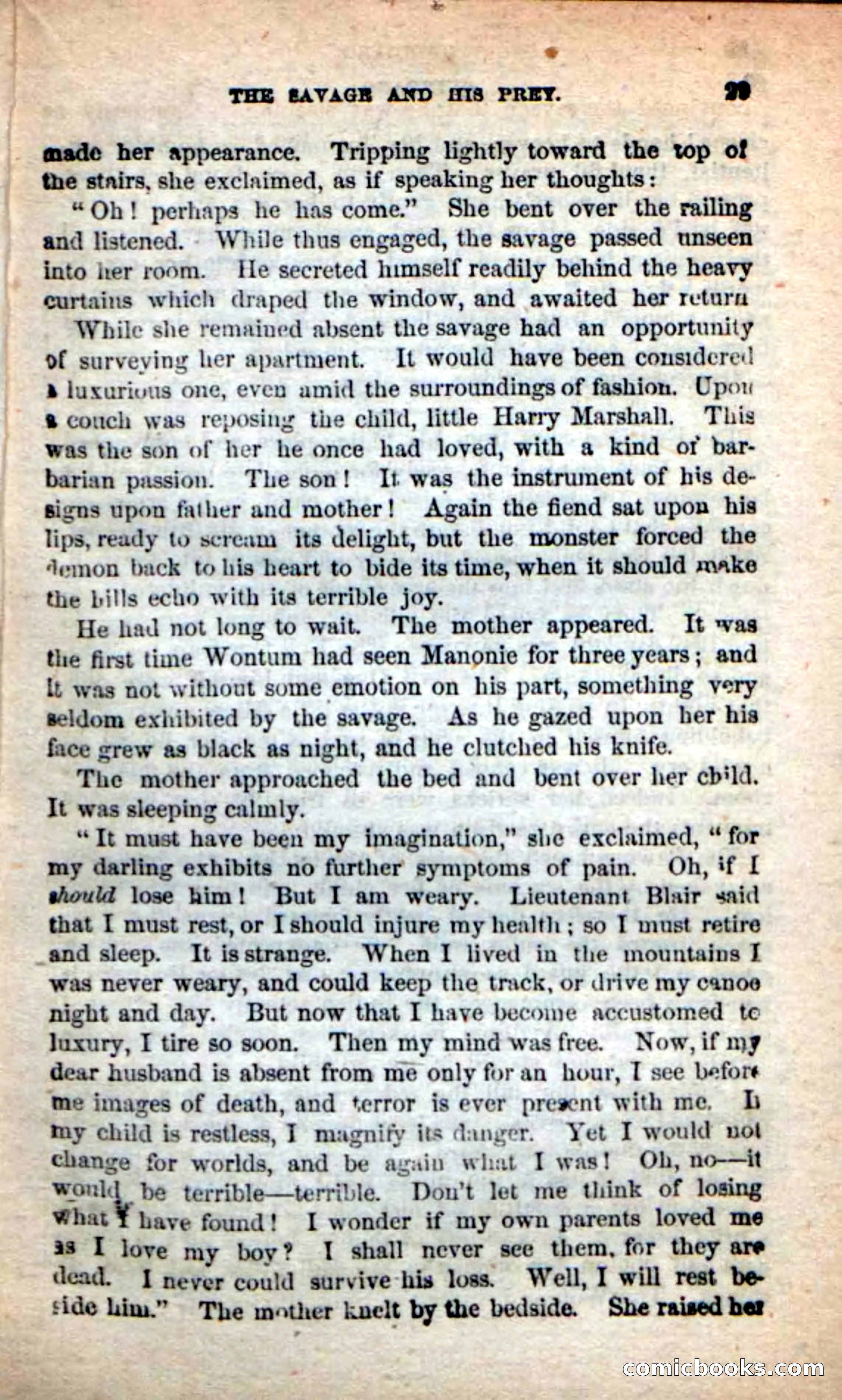 Beadle's New Dime Novels: Quindaro — page 25 of 104