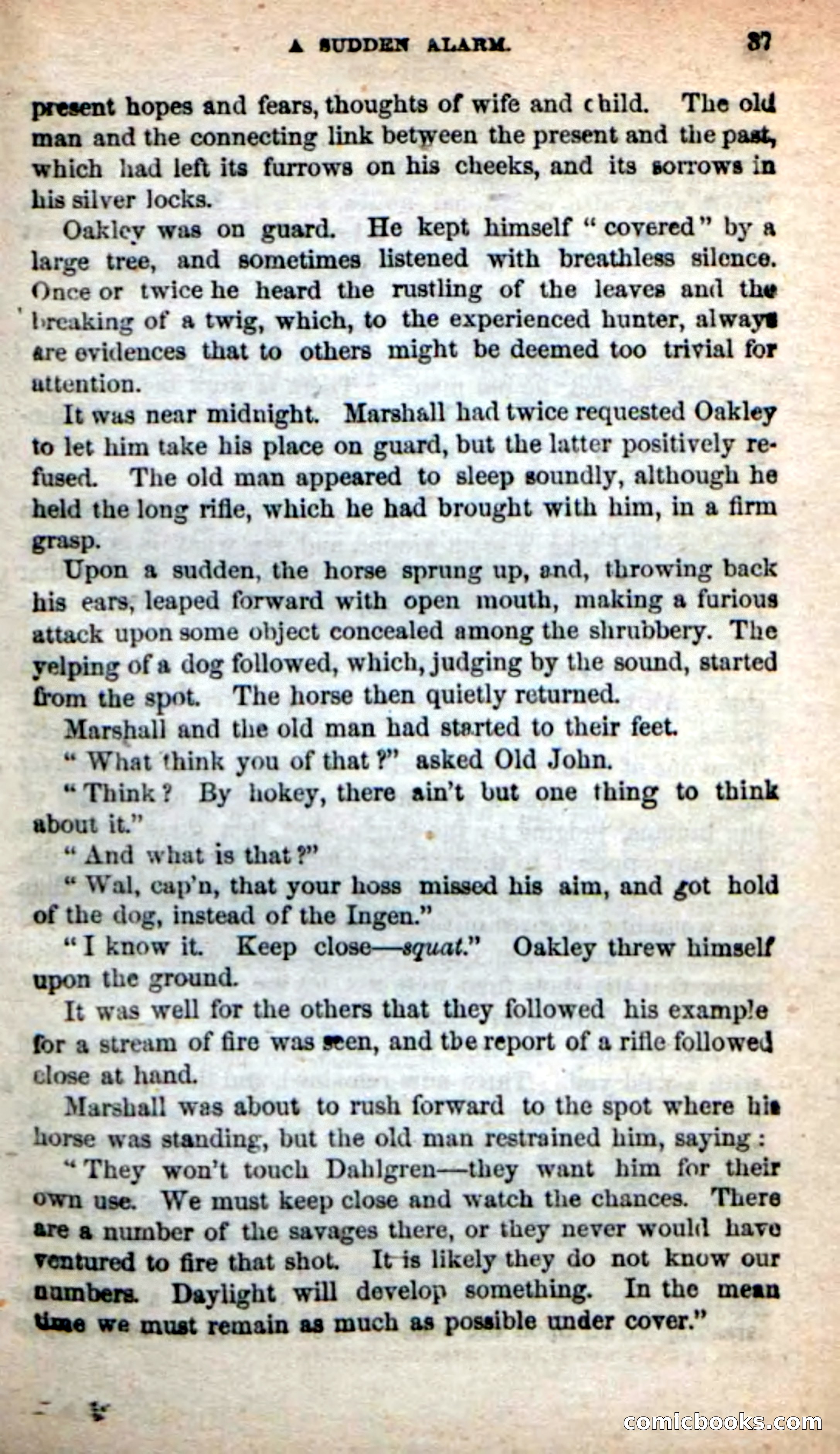 Beadle's New Dime Novels: Quindaro — page 33 of 104
