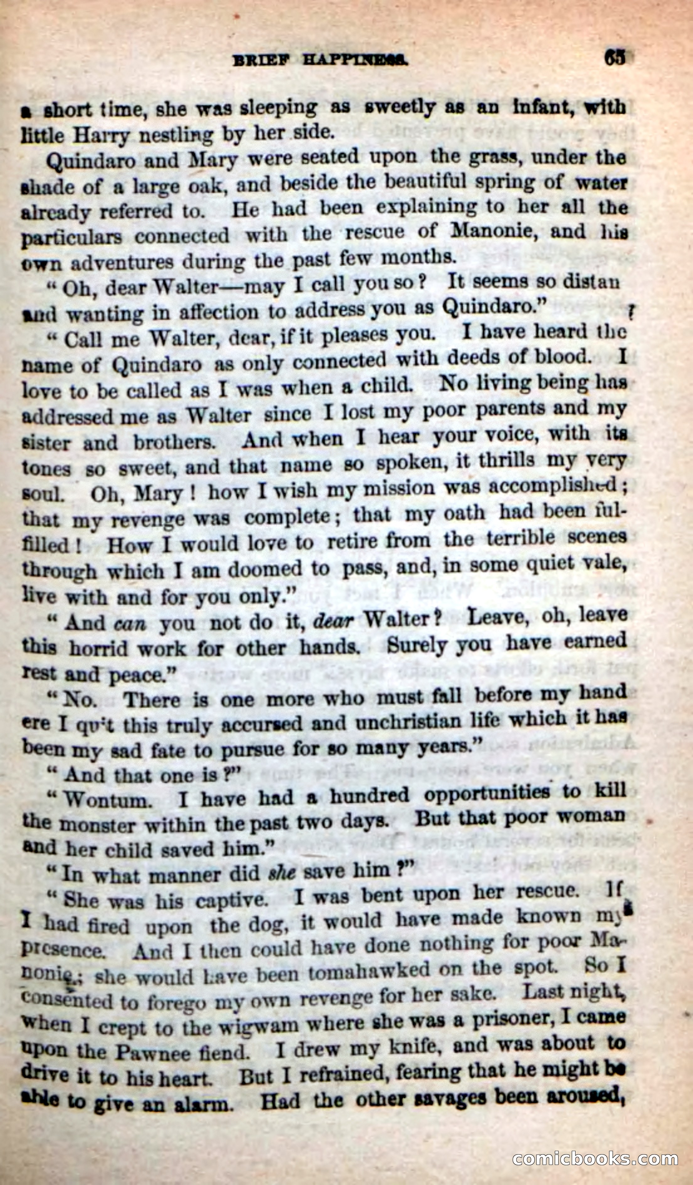 Beadle's New Dime Novels: Quindaro — page 61 of 104