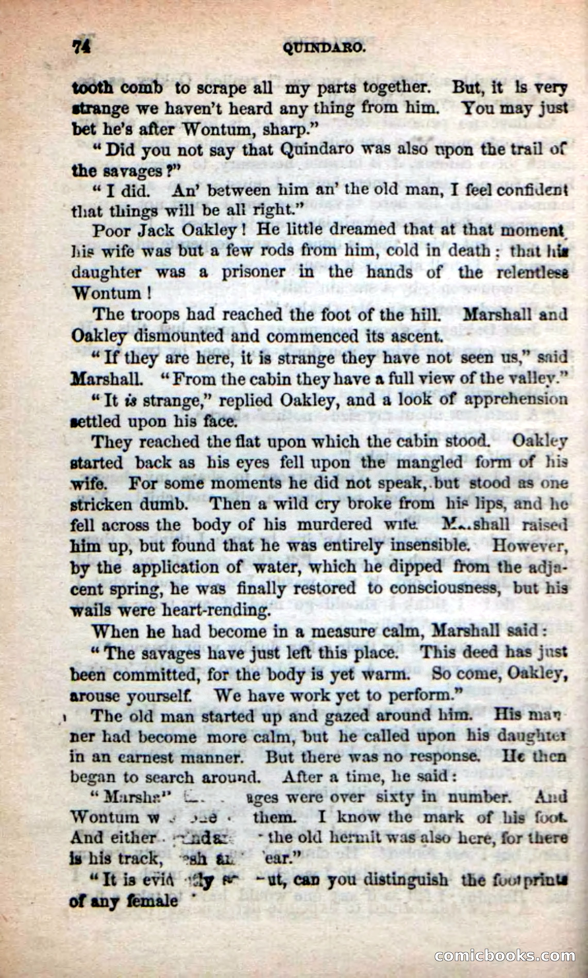 Beadle's New Dime Novels: Quindaro — page 70 of 104