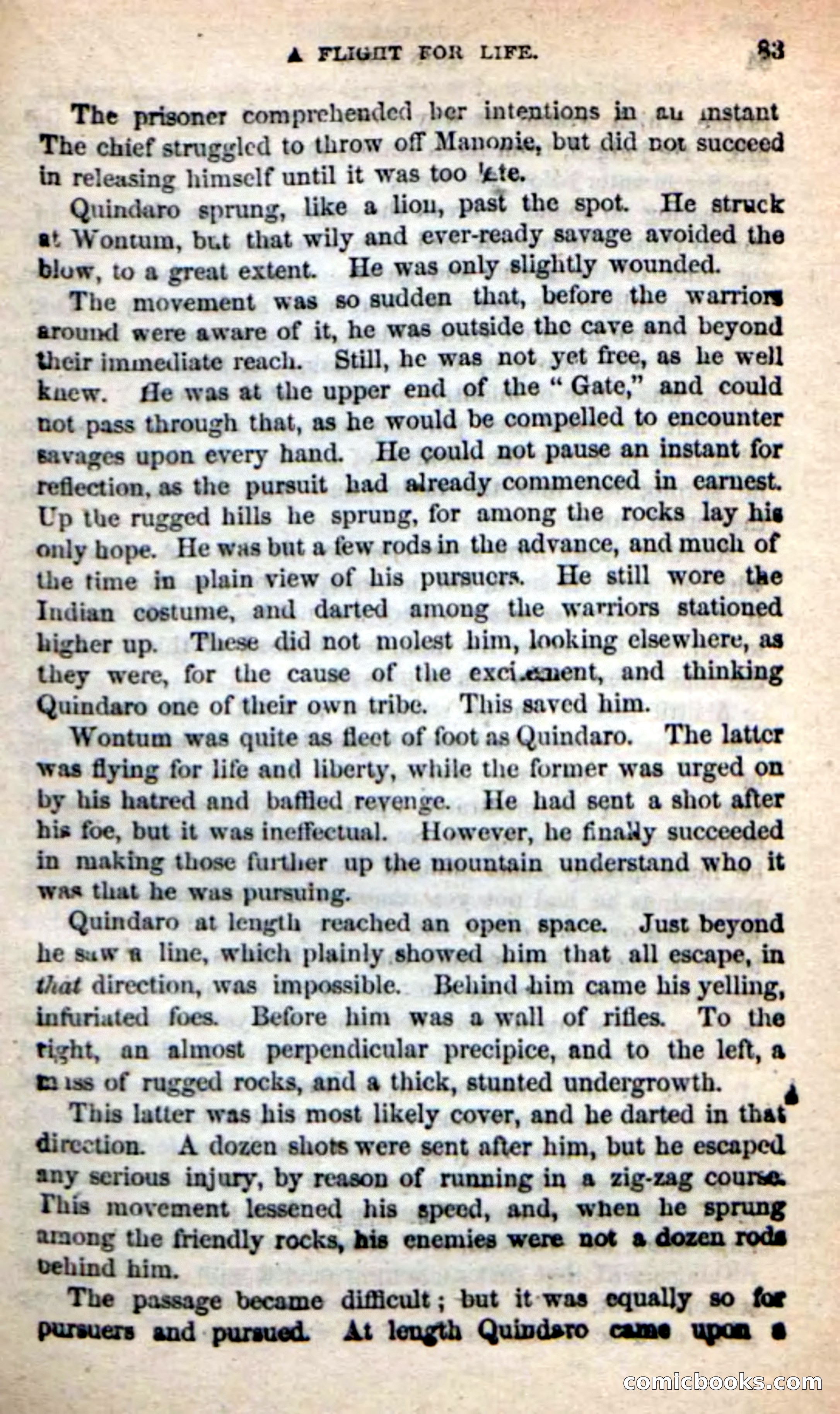 Beadle's New Dime Novels: Quindaro — page 79 of 104
