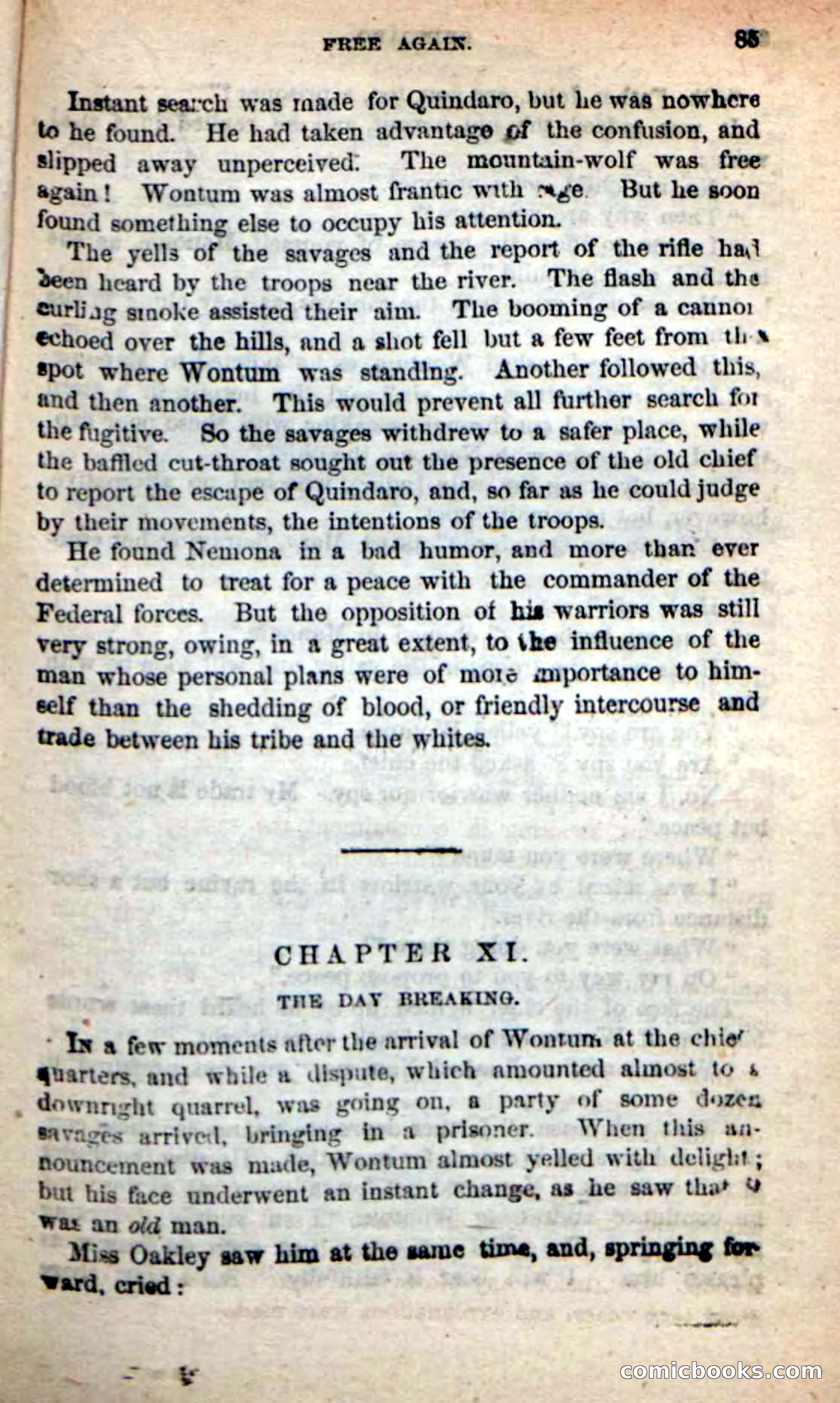 Beadle's New Dime Novels: Quindaro — page 81 of 104