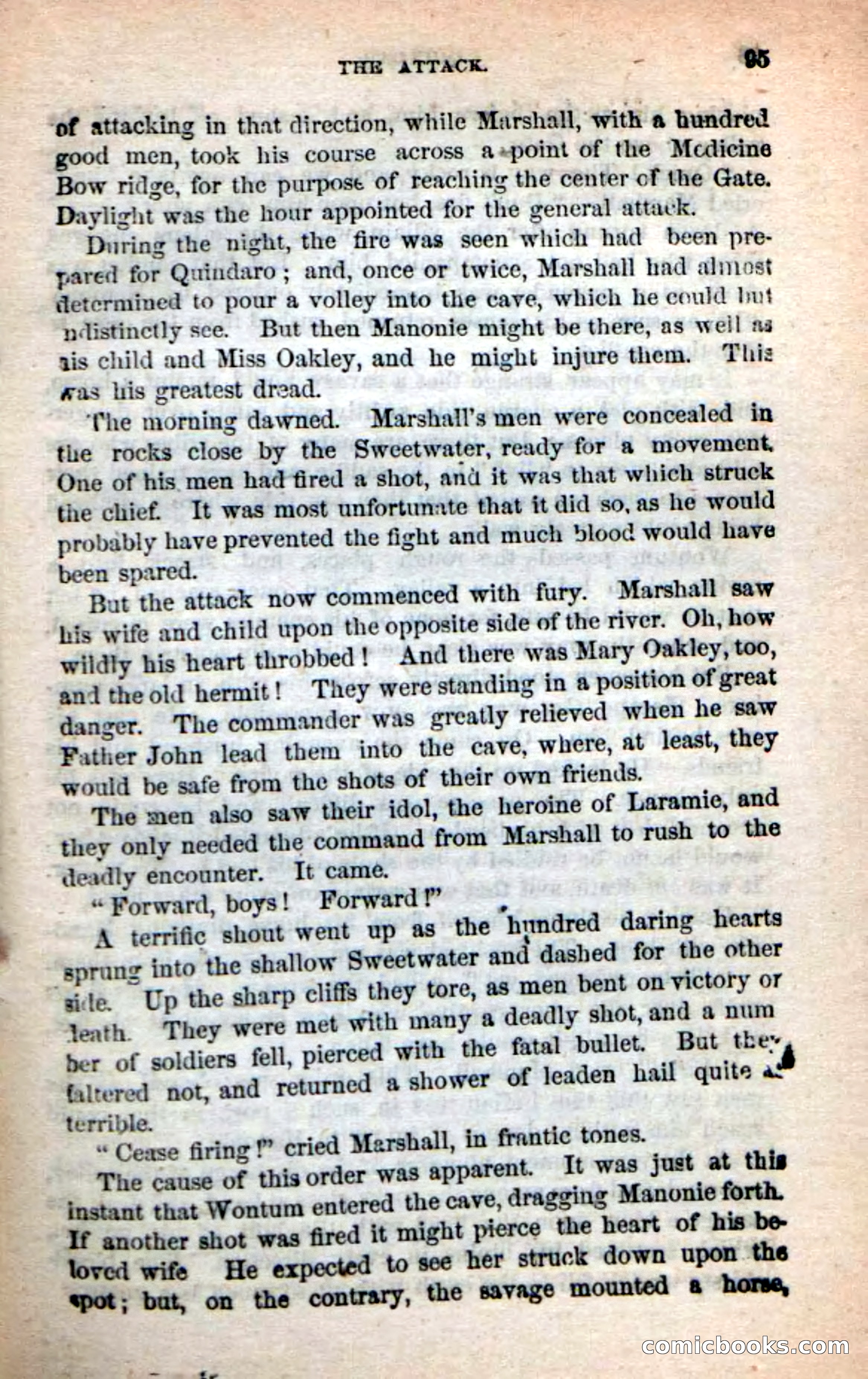 Beadle's New Dime Novels: Quindaro — page 91 of 104
