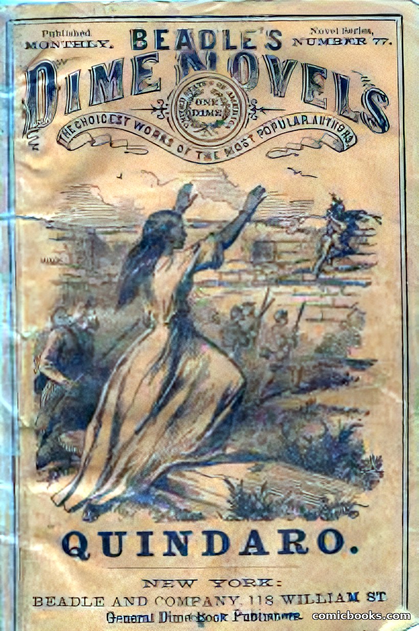 Beadle's New Dime Novels: Quindaro — page 101 of 104