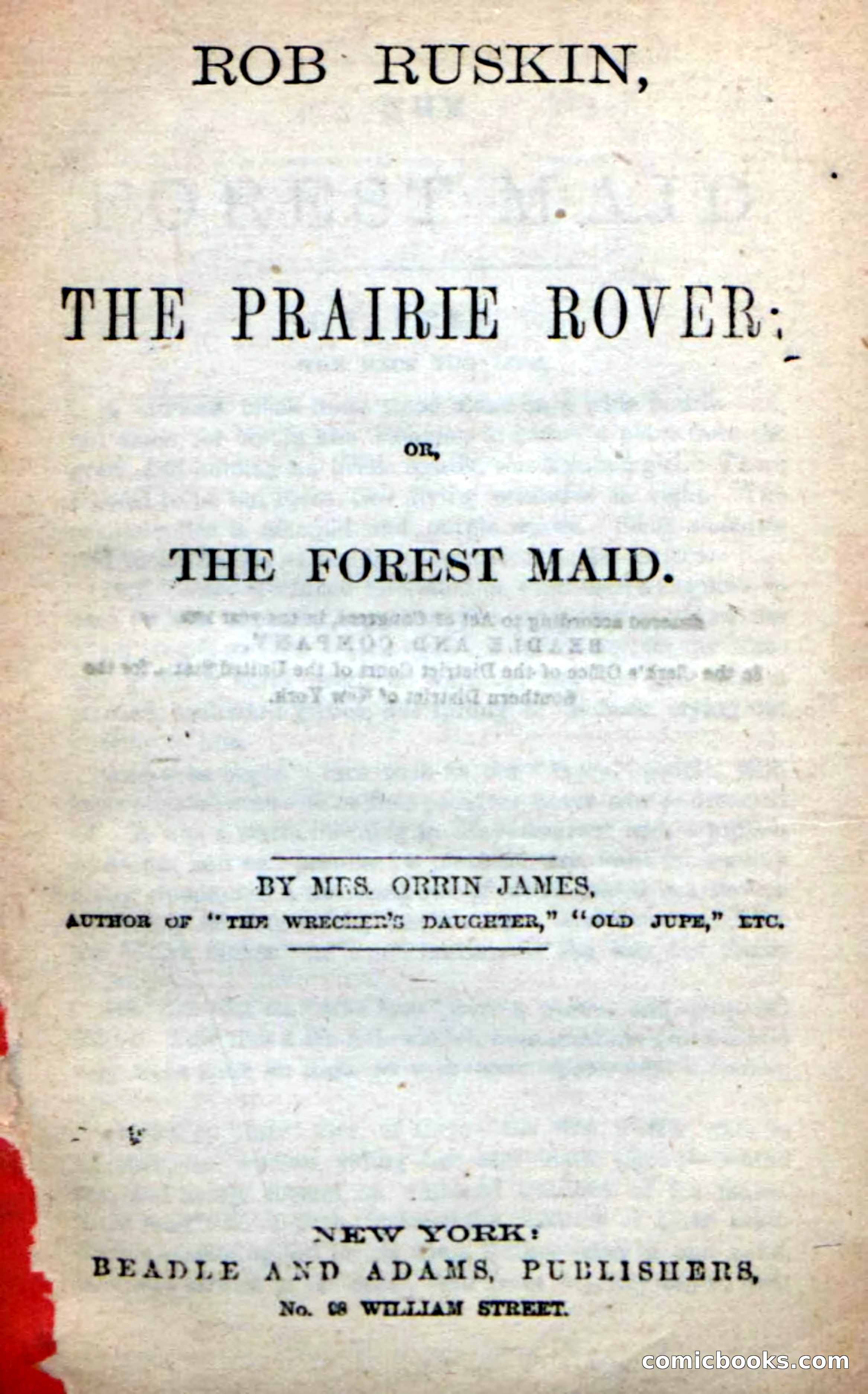 Beadle's New Dime Novels: Rob Ruskin — page 3 of 101