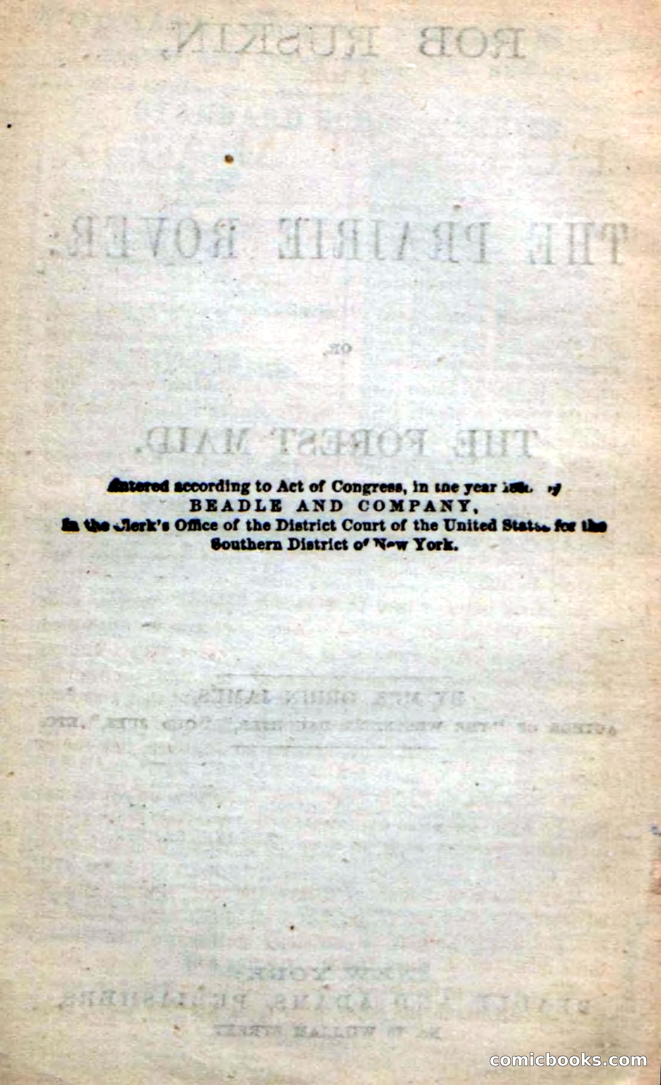 Beadle's New Dime Novels: Rob Ruskin — page 4 of 101