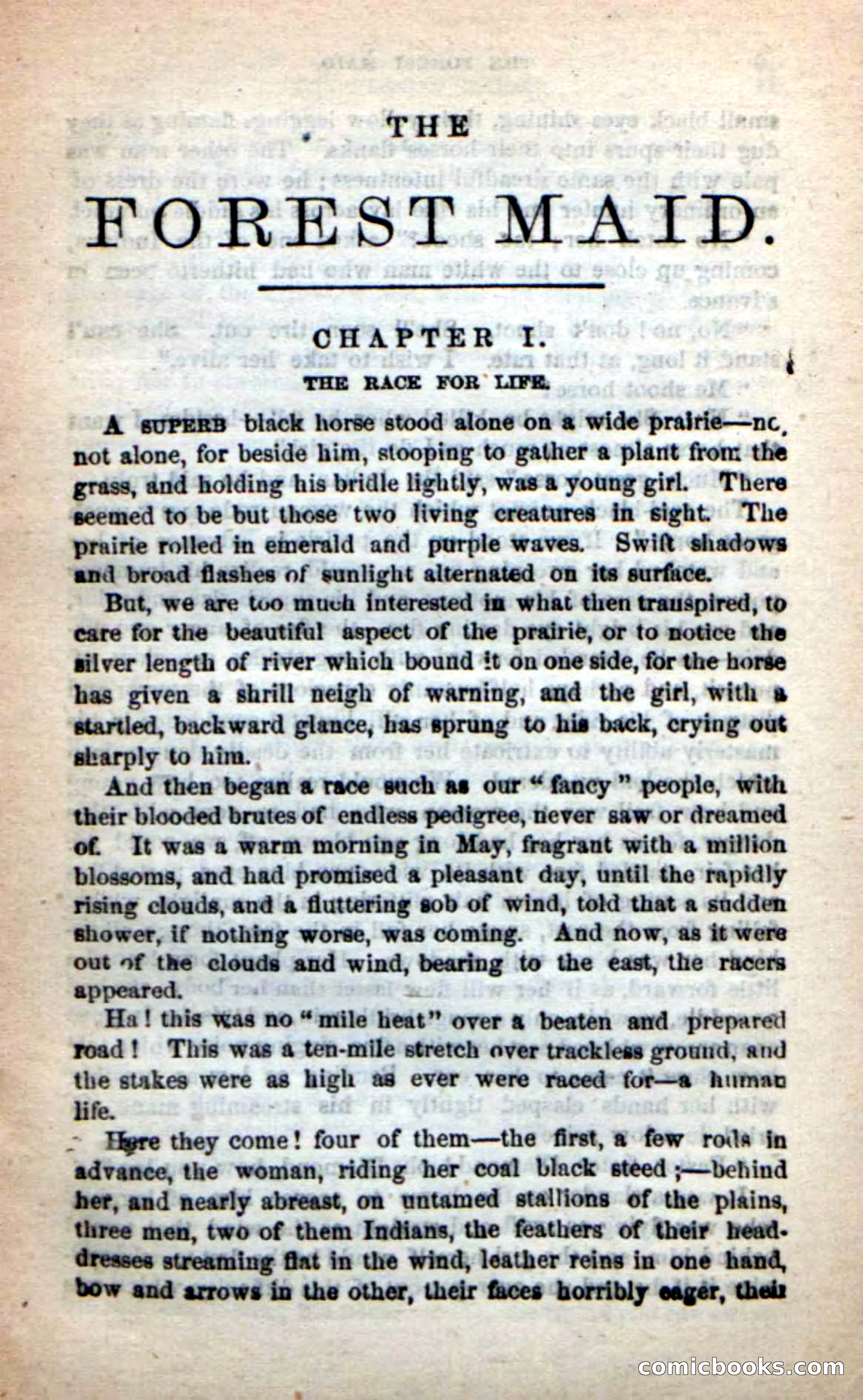 Beadle's New Dime Novels: Rob Ruskin — page 5 of 101
