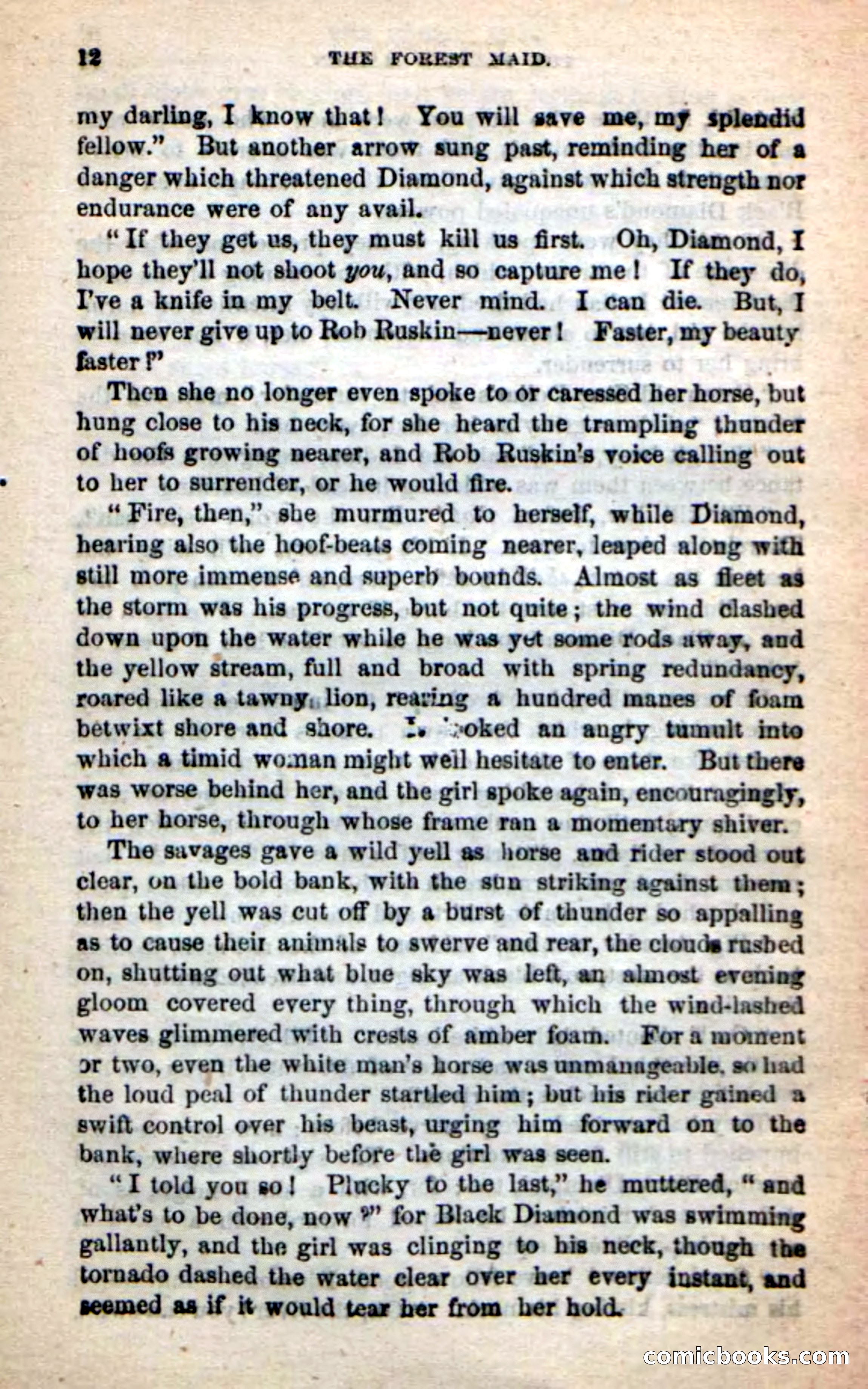 Beadle's New Dime Novels: Rob Ruskin — page 8 of 101