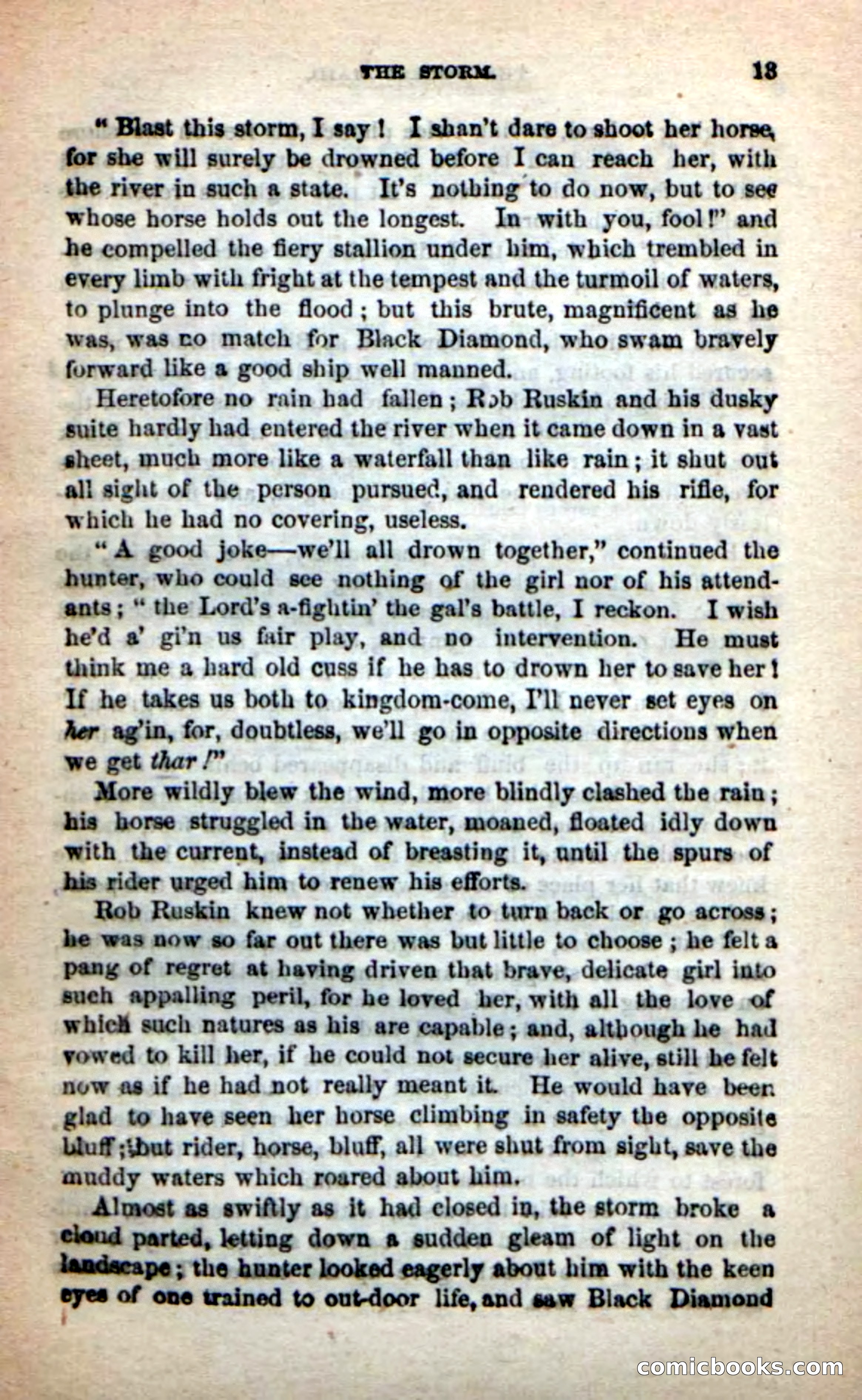 Beadle's New Dime Novels: Rob Ruskin — page 9 of 101